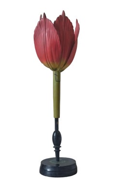 Modello botanico di Robert Brendel "Tulip Generiana", Germania, 1900