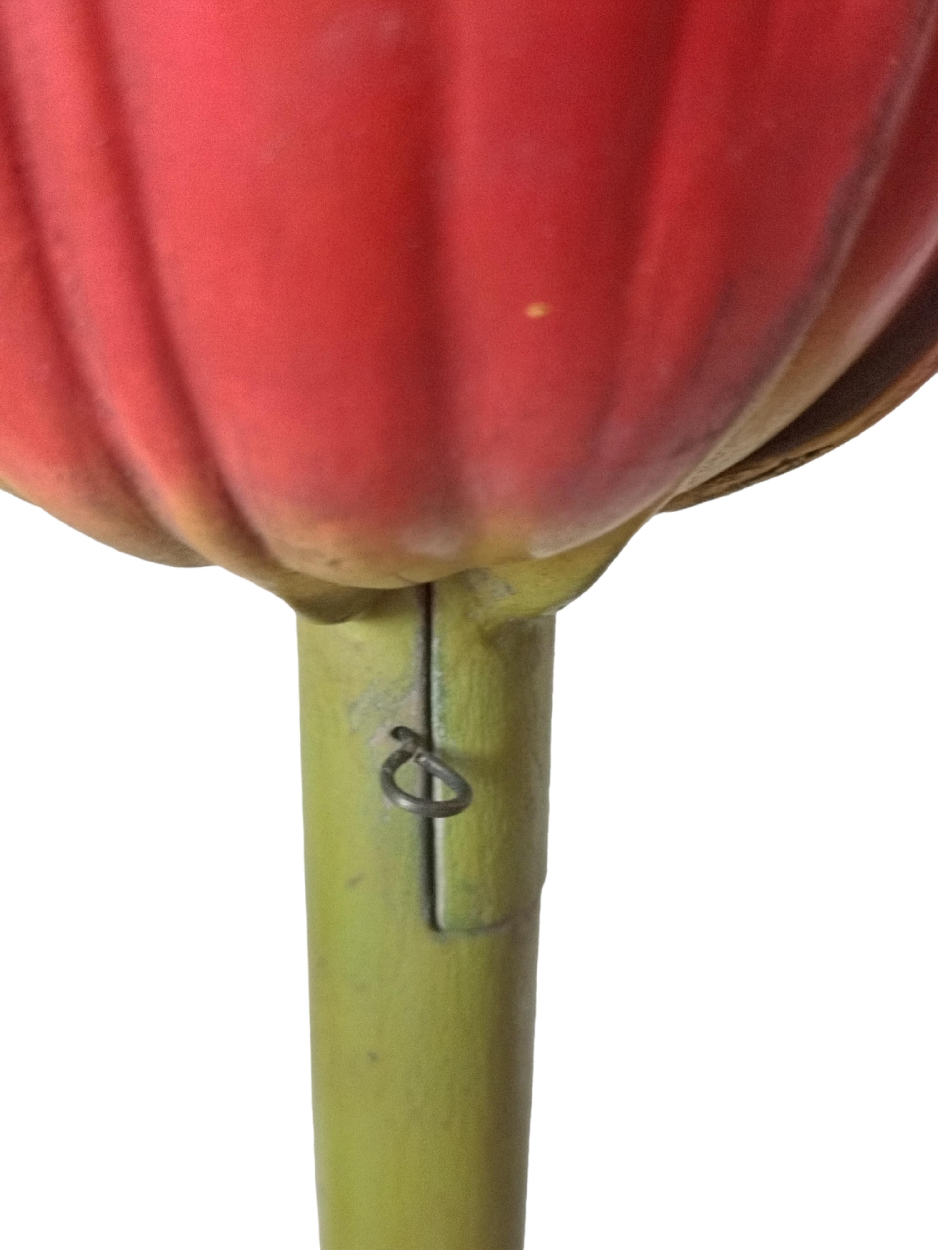 Modèle botanique de Robert Brendel « Tulip Generiana », Allemagne, années 1900 Bon état - En vente à Naples, IT