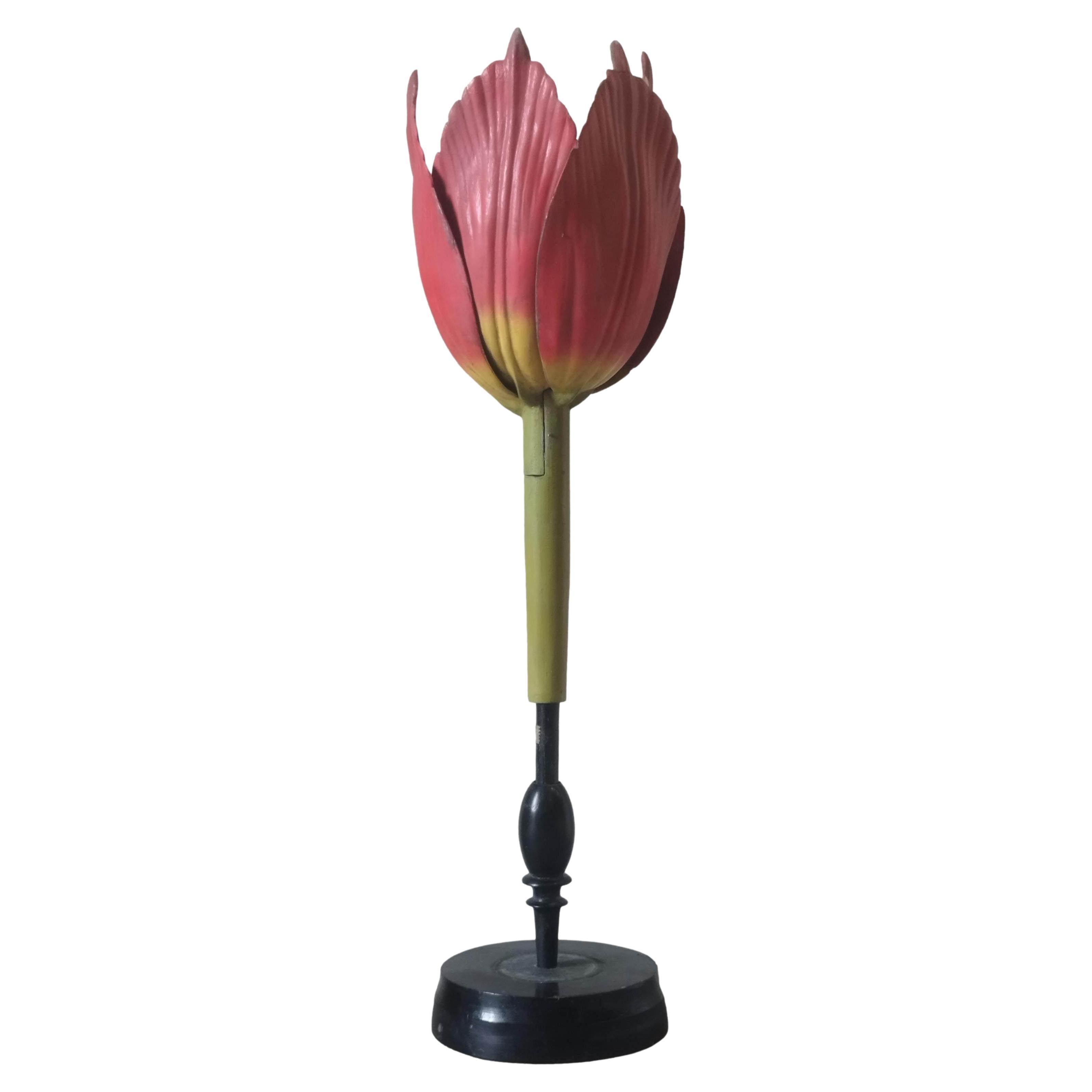 Robert Brendel's Botanical Model "Tulip Generiana", Germany 1900s For Sale