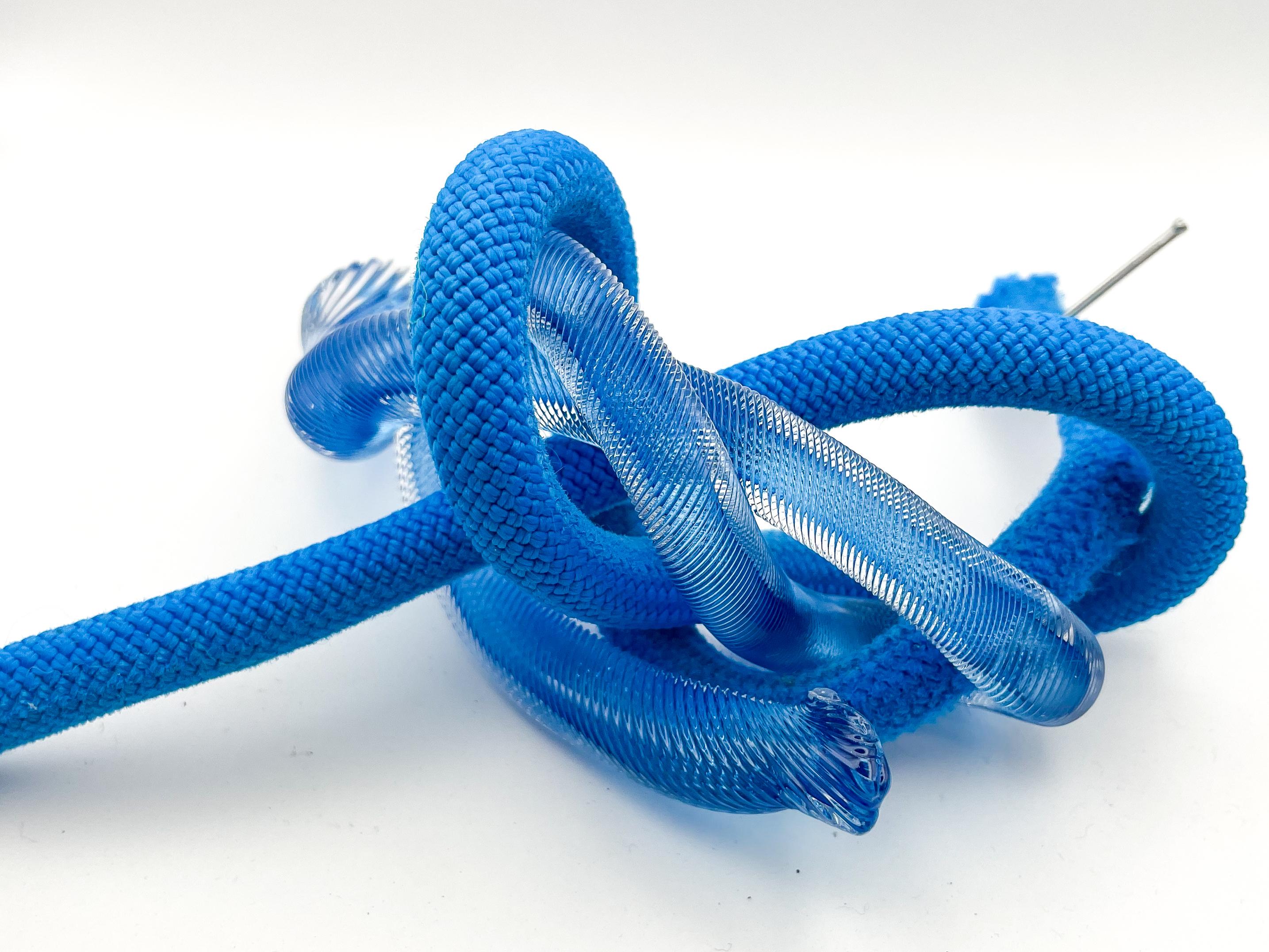 Blue Knots (scultura in vetro soffiato ad acqua con oggetti trovati per arrampicarsi su una parete di corda Chihuly) - Sculpture di Robert Burch