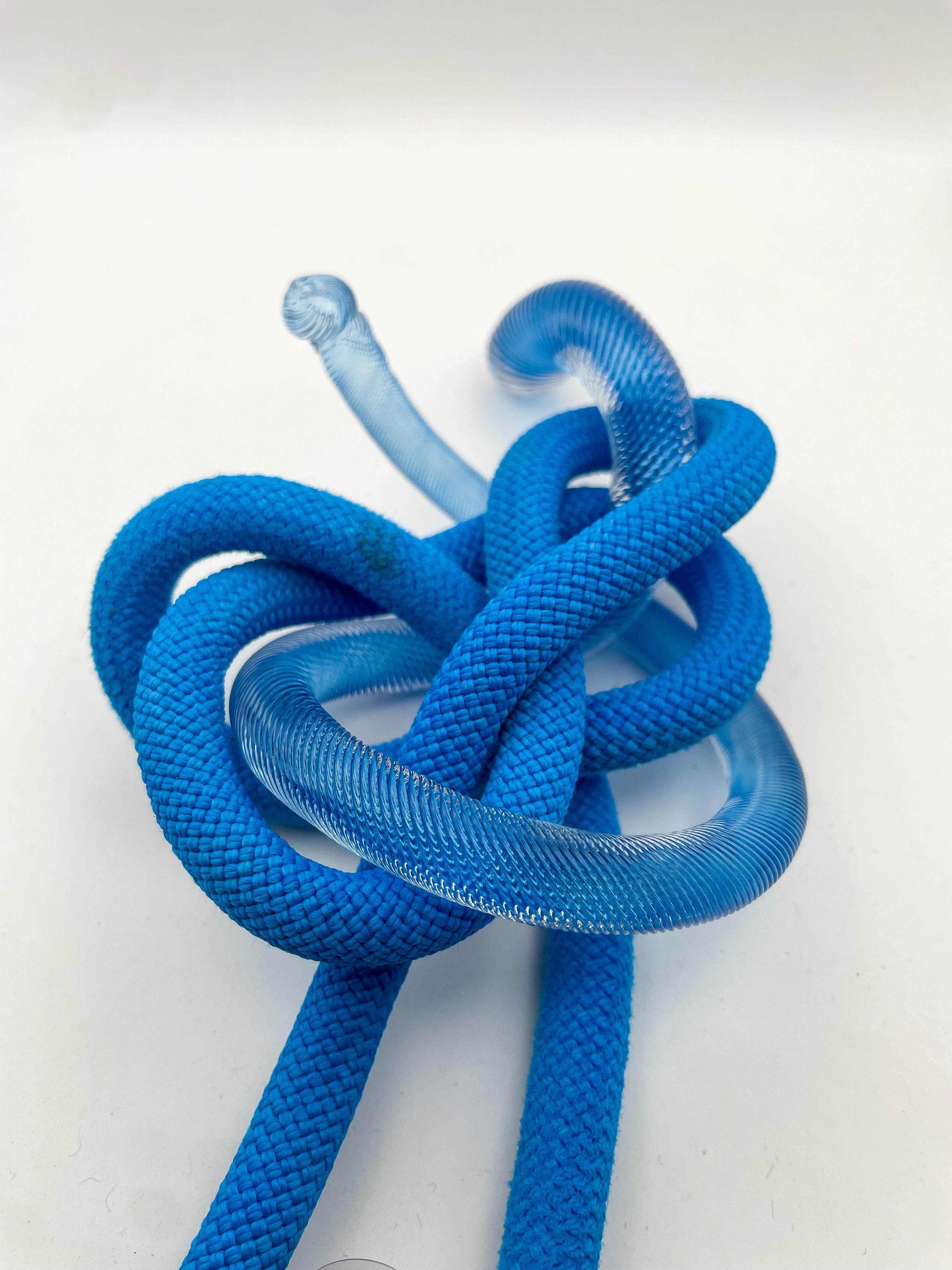 Blue Knots (scultura in vetro soffiato ad acqua con oggetti trovati per arrampicarsi su una parete di corda Chihuly) - Sculpture Arte popolare di Robert Burch