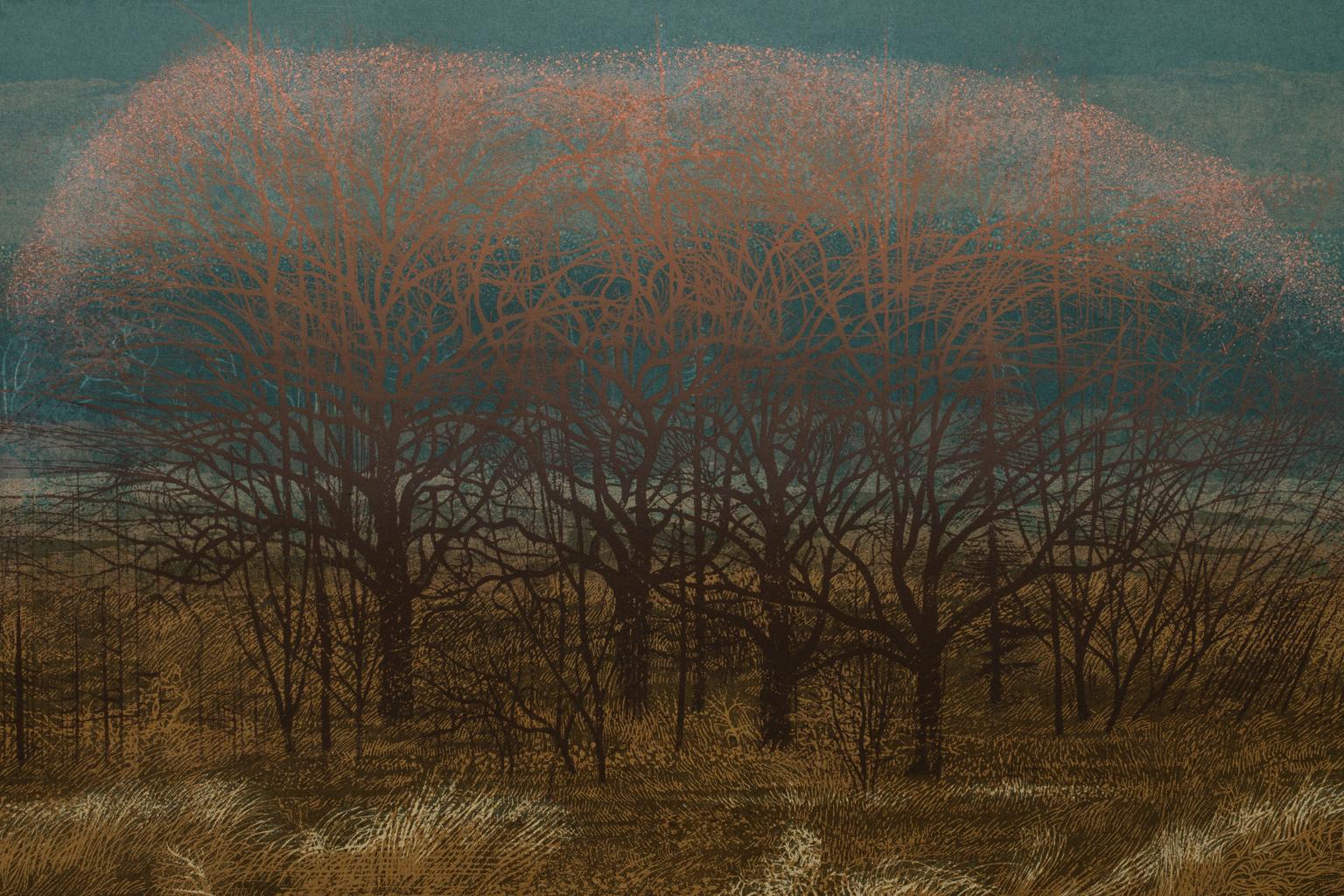 Robert Burkert Litografía Paisaje 