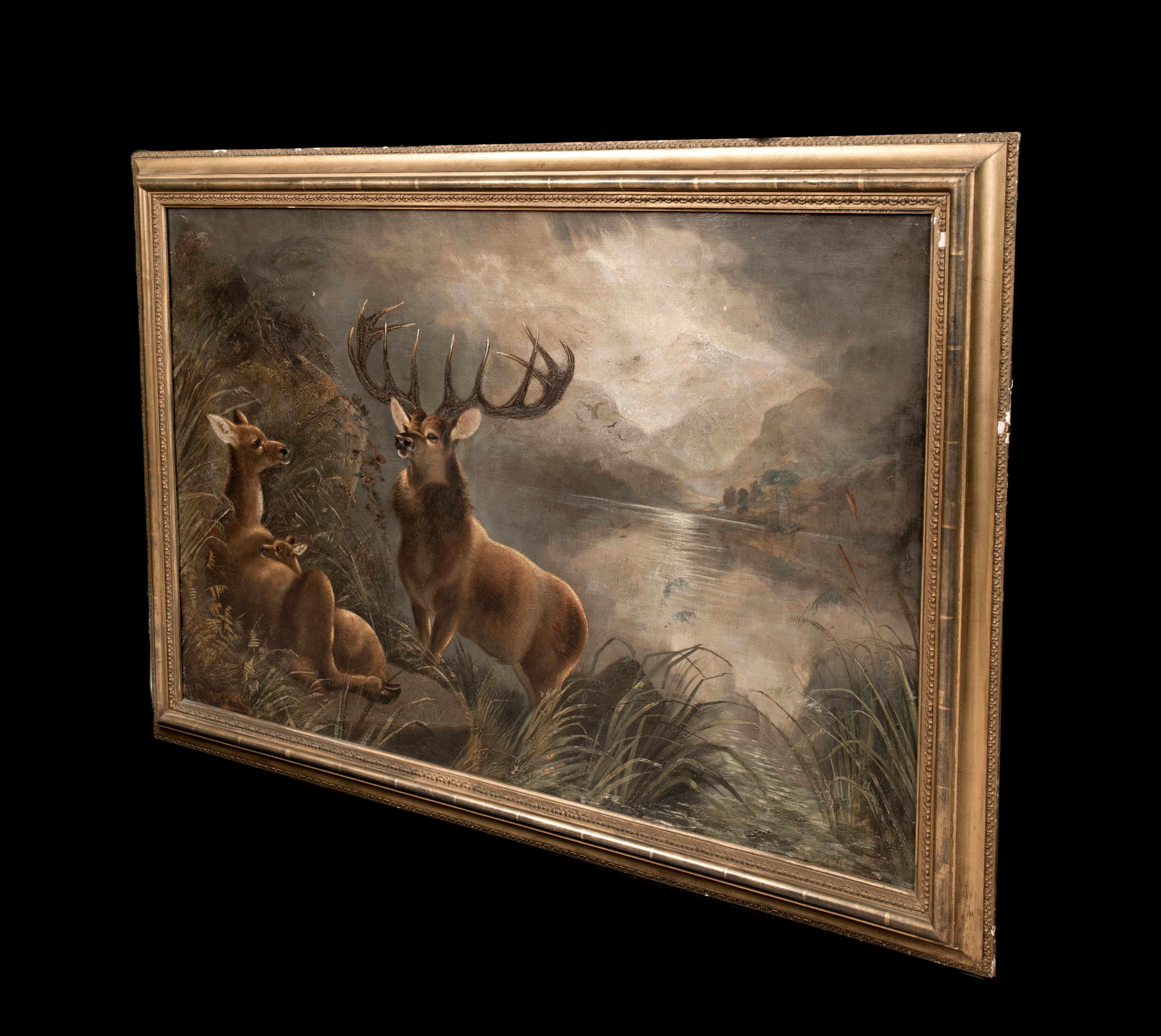 The Monarch of The Glen At Moonlight, 19th Century  by Robert Cleminson  8