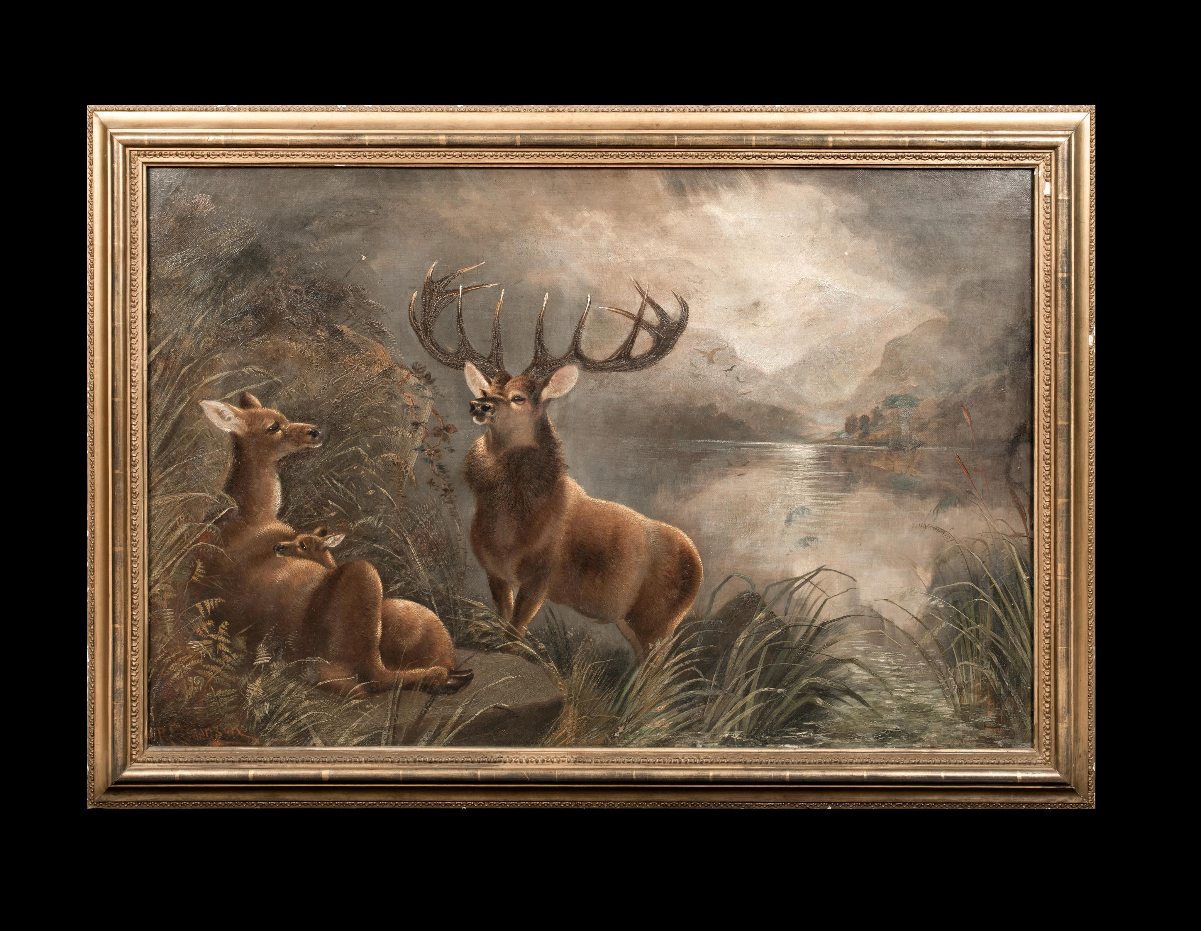 The Monarch of The Glen At Moonlight, 19th Century

by Robert Cleminson (1864-1903)

Large 19th Century Scottish moonlit highland loch landscape of a stag, doe and fawn, oil on canvas by Robert Cleminson. Excellent example of the Scottish animal and