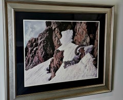Robert Copple Wild Life Lithograph Limited Edition, Hand Signed & Framed