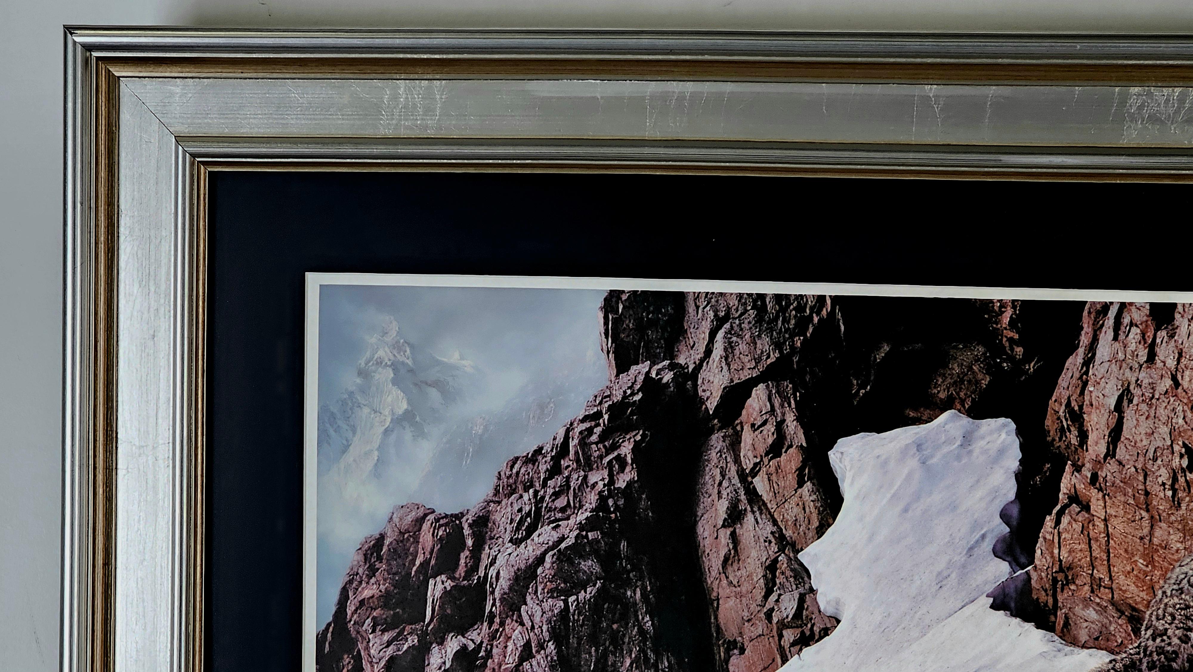 Robert Copple Wild Life Lithograph Limited Edition, Hand Signed & Framed For Sale 3