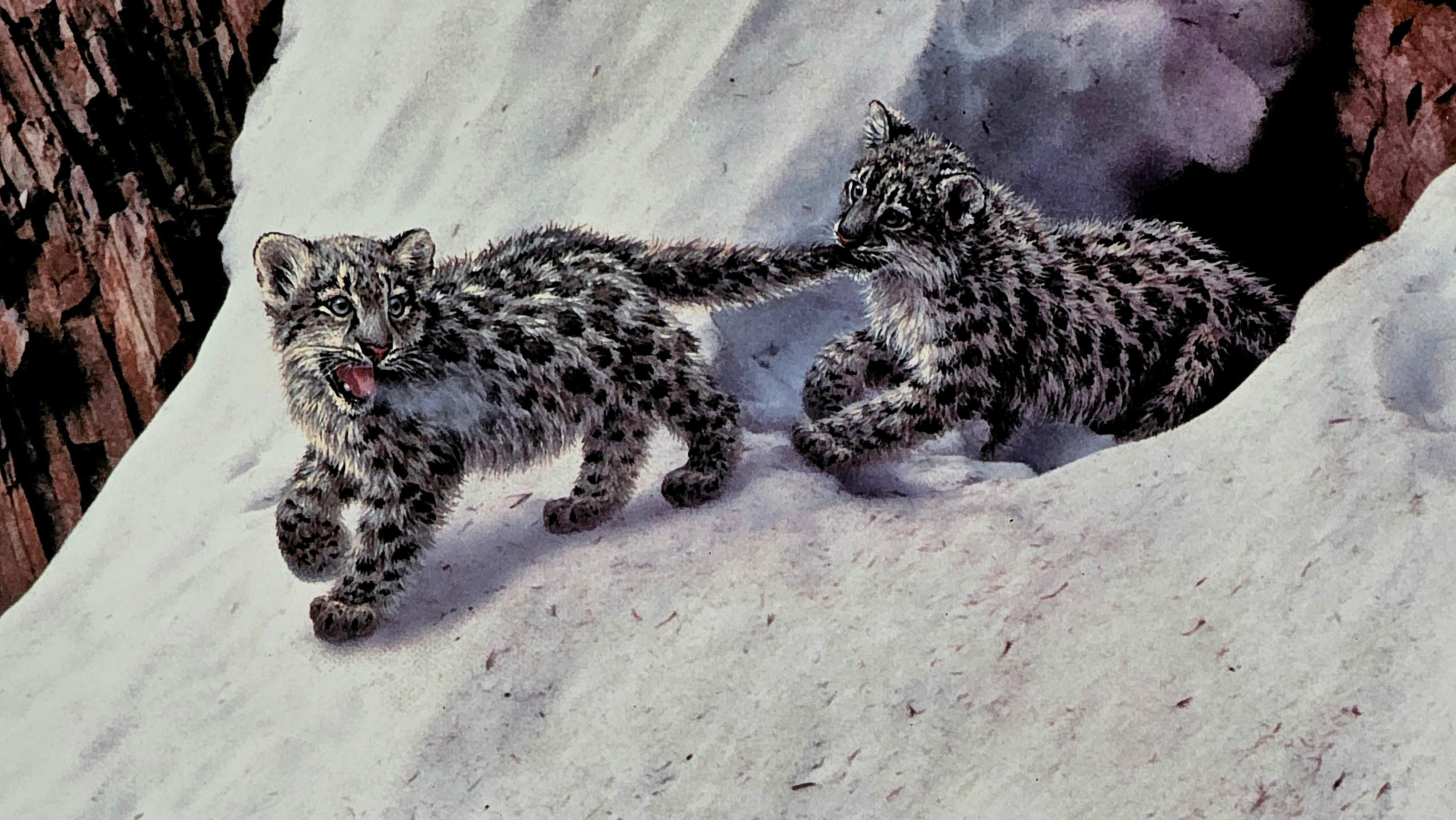Robert Copple Wild Life Lithograph Limited Edition, Hand Signed & Framed For Sale 6