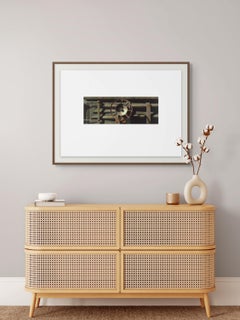 Rolling Stock Series (For Armyn)