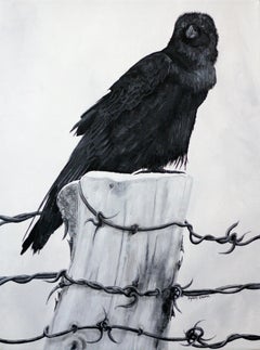 Used Raven on a Post