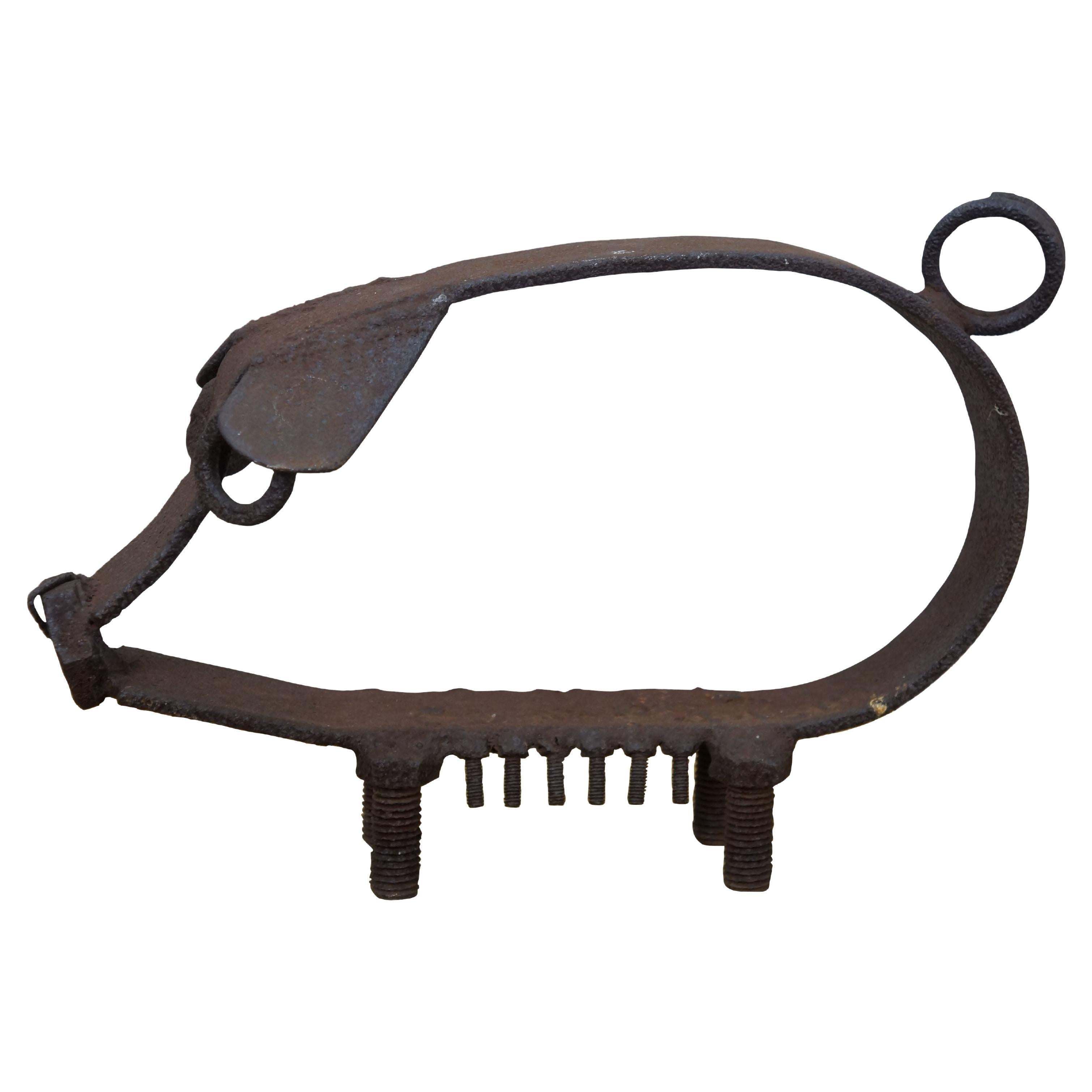 Scultura / statuetta di Robert Cumpston della fine del XX secolo, che delinea la forma di un maiale, completa di coda a ricciolo e anello al naso. Stile industriale, realizzato con attrezzi agricoli di recupero. Firmato al centro.

Dimensioni:
12