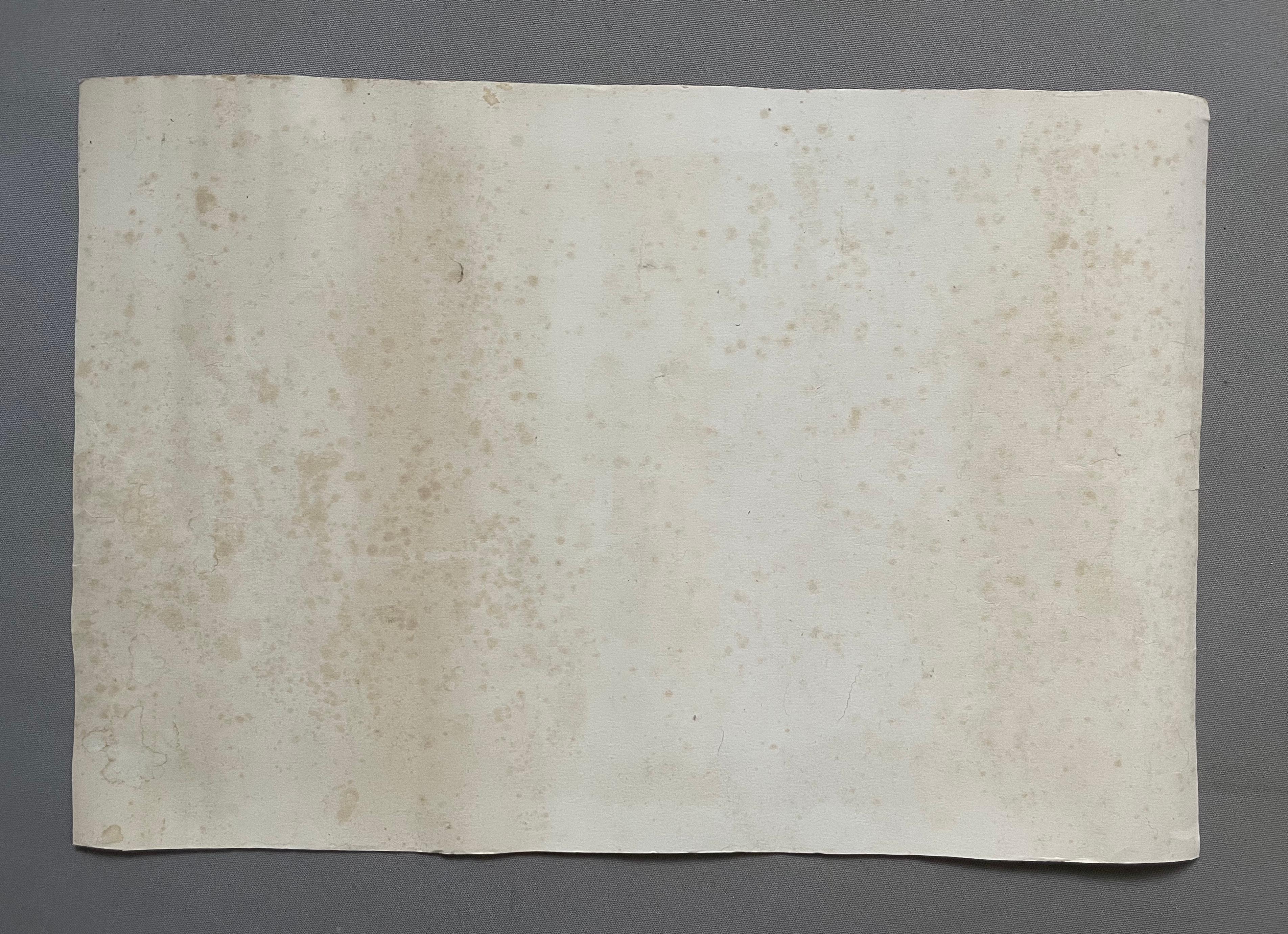 Robert Delval, Still Life, Lithograph For Sale 1