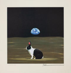 Un lièvre hors de sa place I (Outer Space)