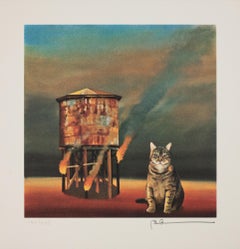 Katzen-Katastrophe