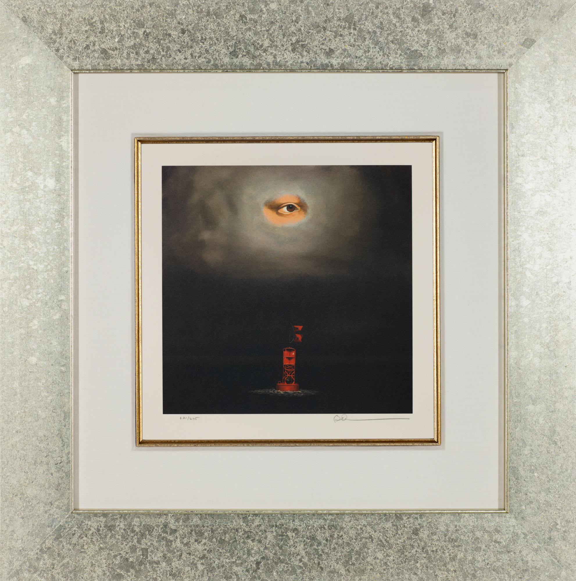 Eye of the Storm For Sale 1