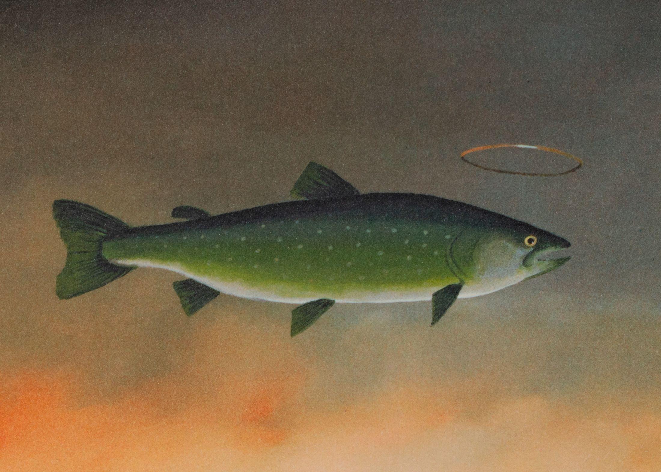 Holy Mackerel - Contemporary Print by Robert Deyber