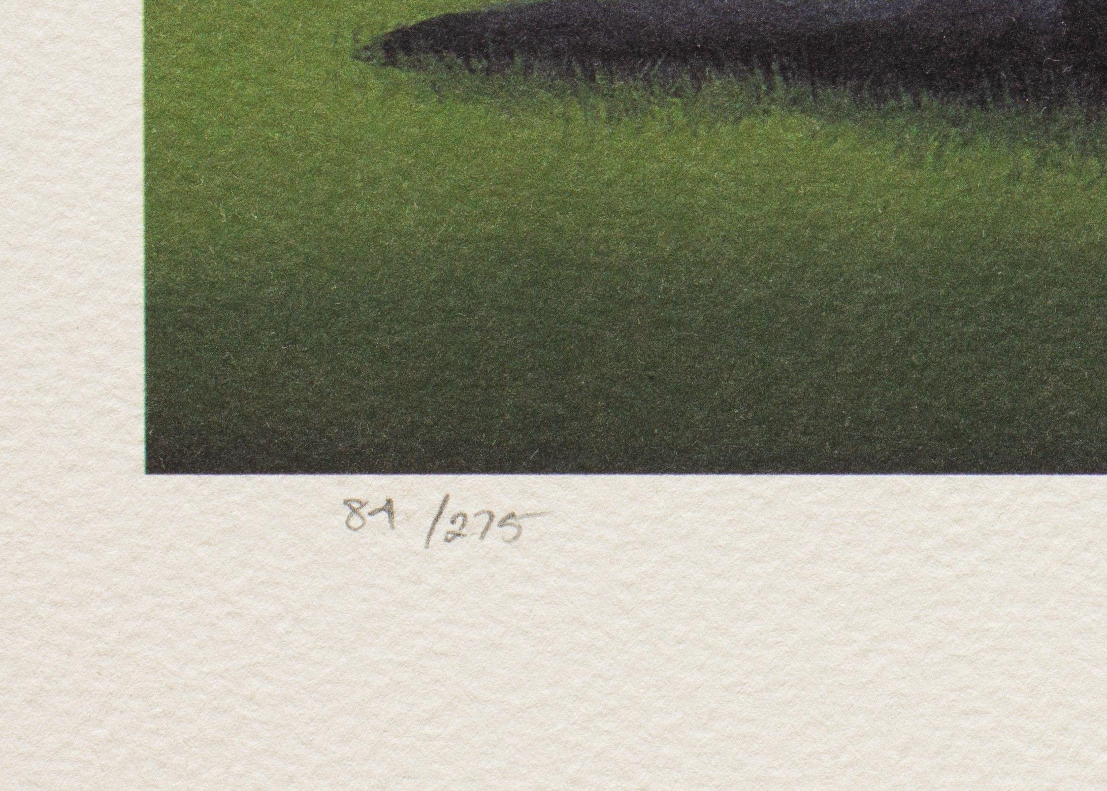 Horn Dog est une lithographie sur papier, de format 9,5 x 9