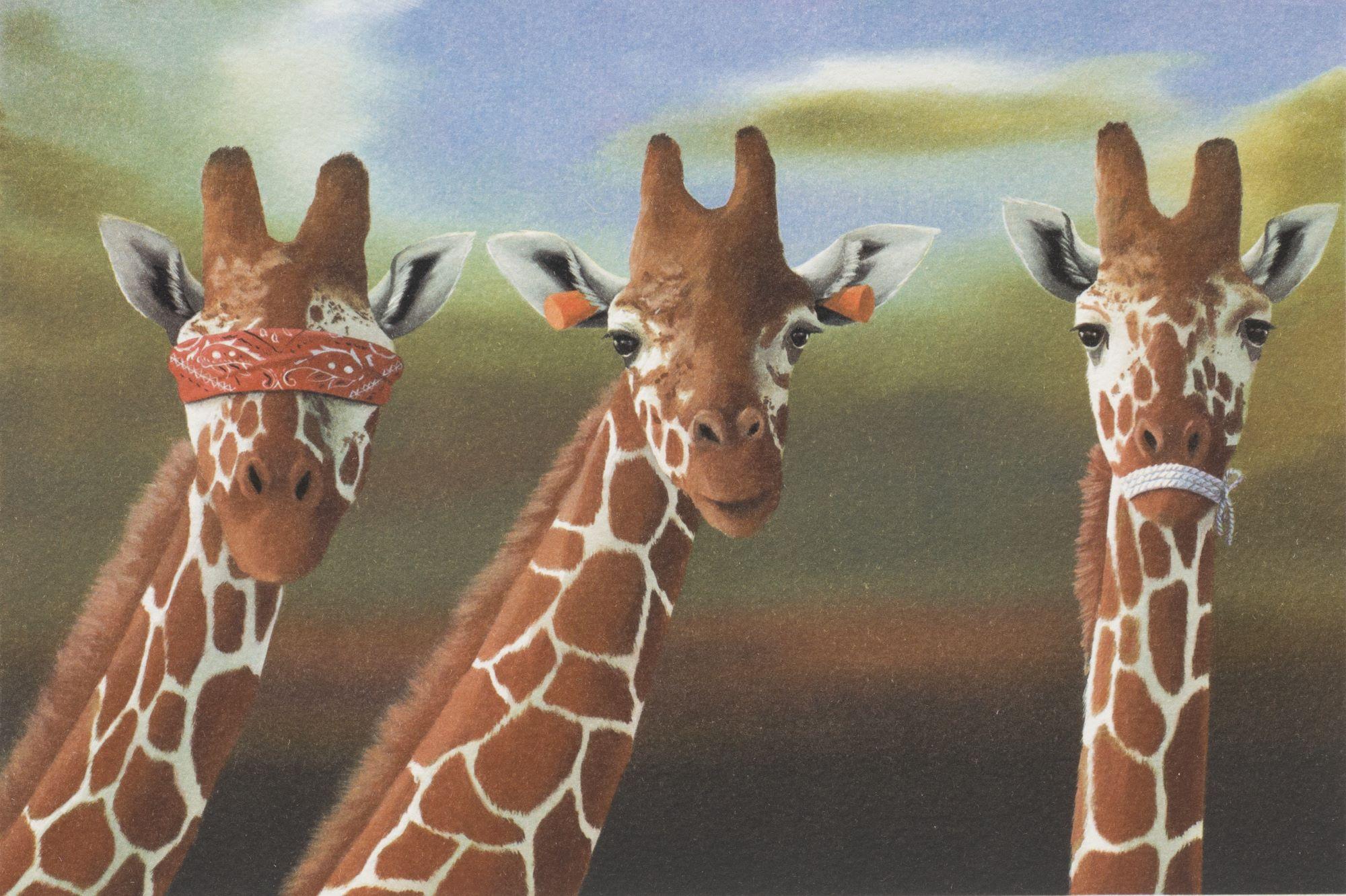 Non vedere il male, non sentire il male, non parlare del male (Giraffe) - Print di Robert Deyber