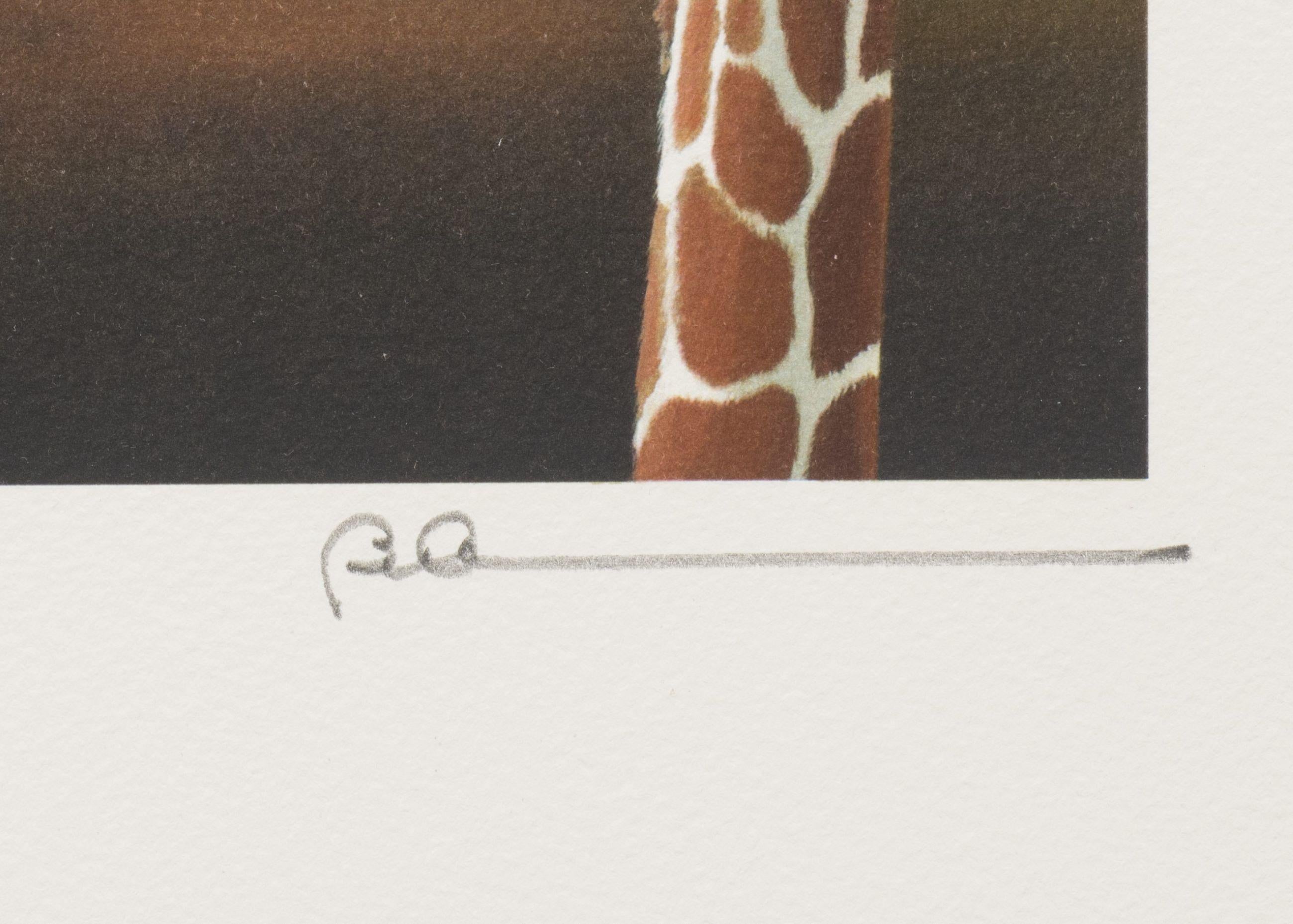 Non vedere il male, non sentire il male, non parlare del male (Giraffe) - Animal Print Grigio di Robert Deyber