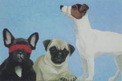 See No Evil, Hear No Evil, Speak No Evil XV (Dogs)