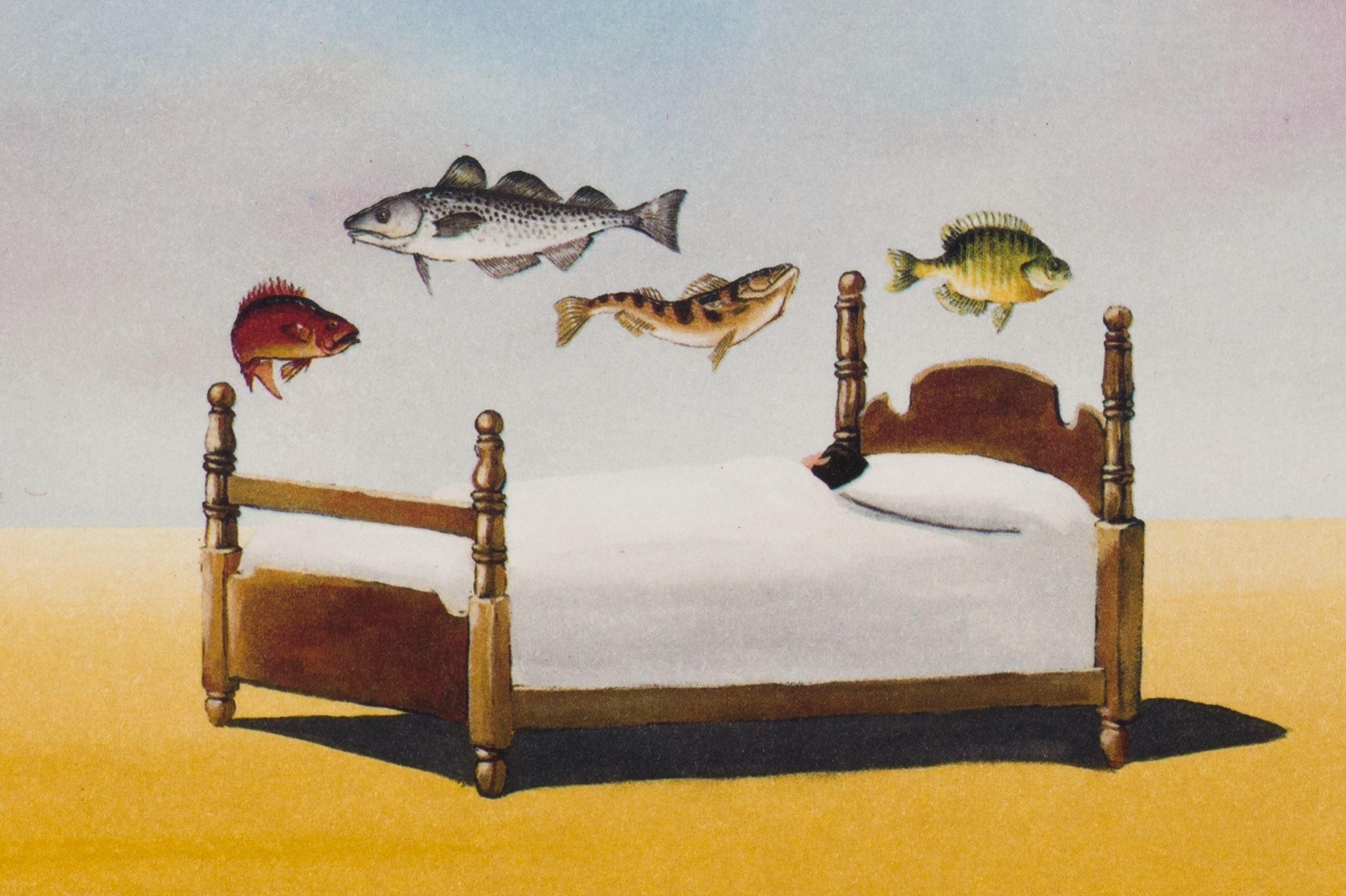 Sleeping With the Fishes is a lithograph on paper, 9.25 x 9 inches  image size, and initialed 'BD' lower right. From the edition of 395, numbered 171/275 (there were also 100 Roman and 20 AP). Framed in a contemporary, silver-tone frame.

Robert