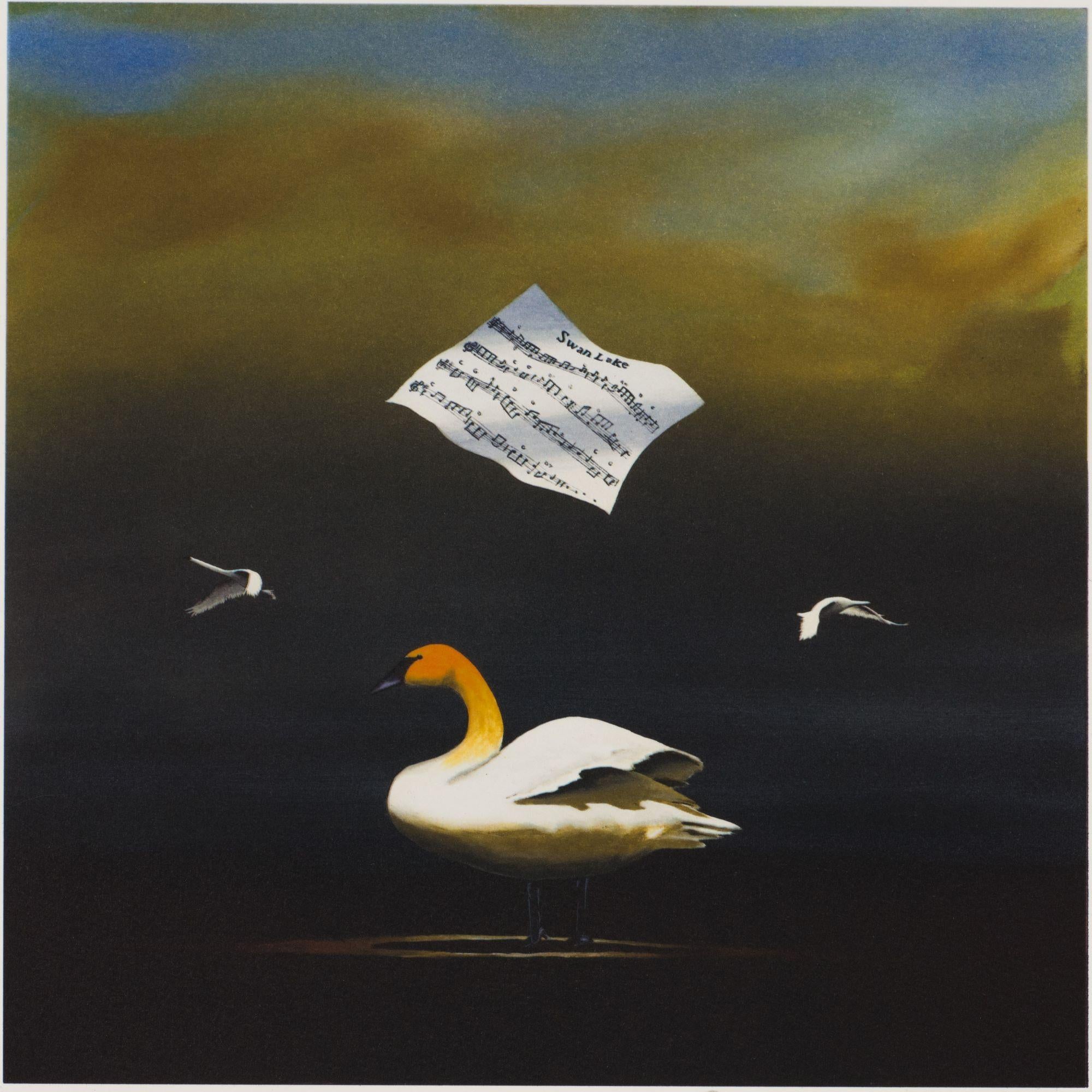 The Swan Song  - Contemporary Print by Robert Deyber 