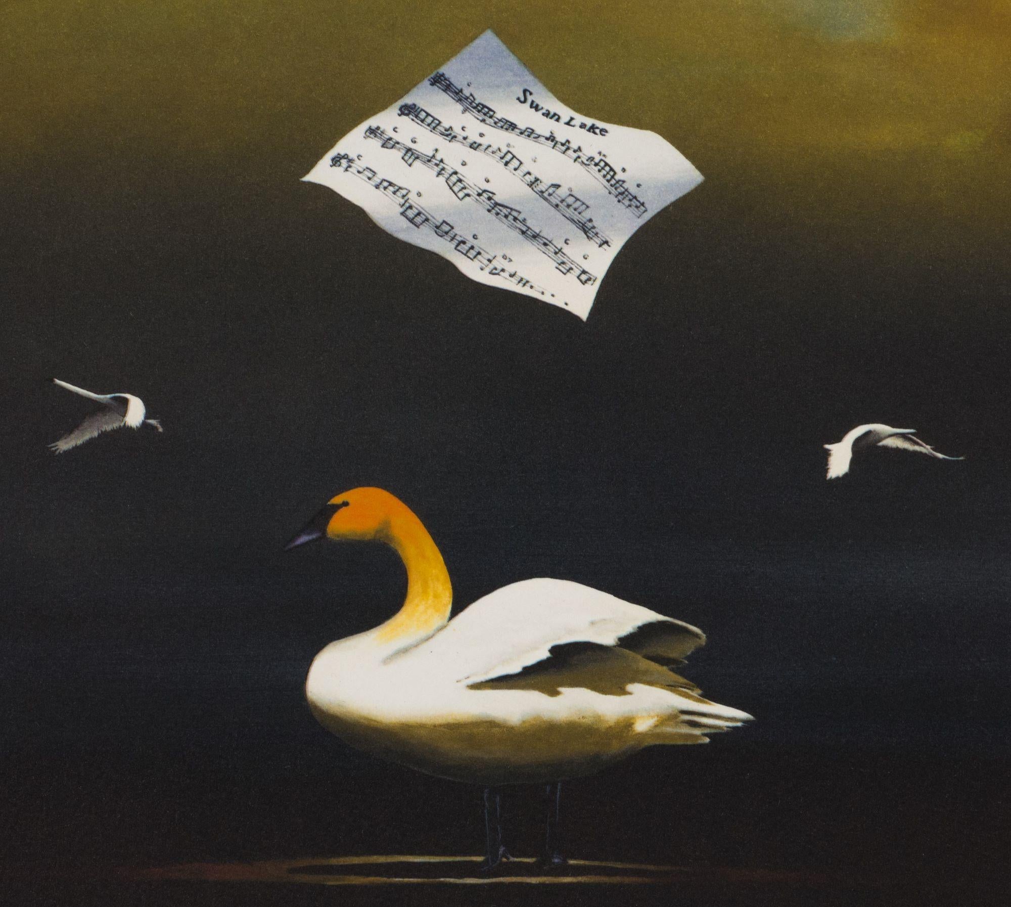 The Swan Song is a lithograph on paper, 9.25 x 9 inches  image size, and initialed 'BD' lower right. From the edition of 395, numbered 119/275 (there were also 100 Roman and 20 AP). Framed in a contemporary, silver-tone frame.

Robert Deyber’s