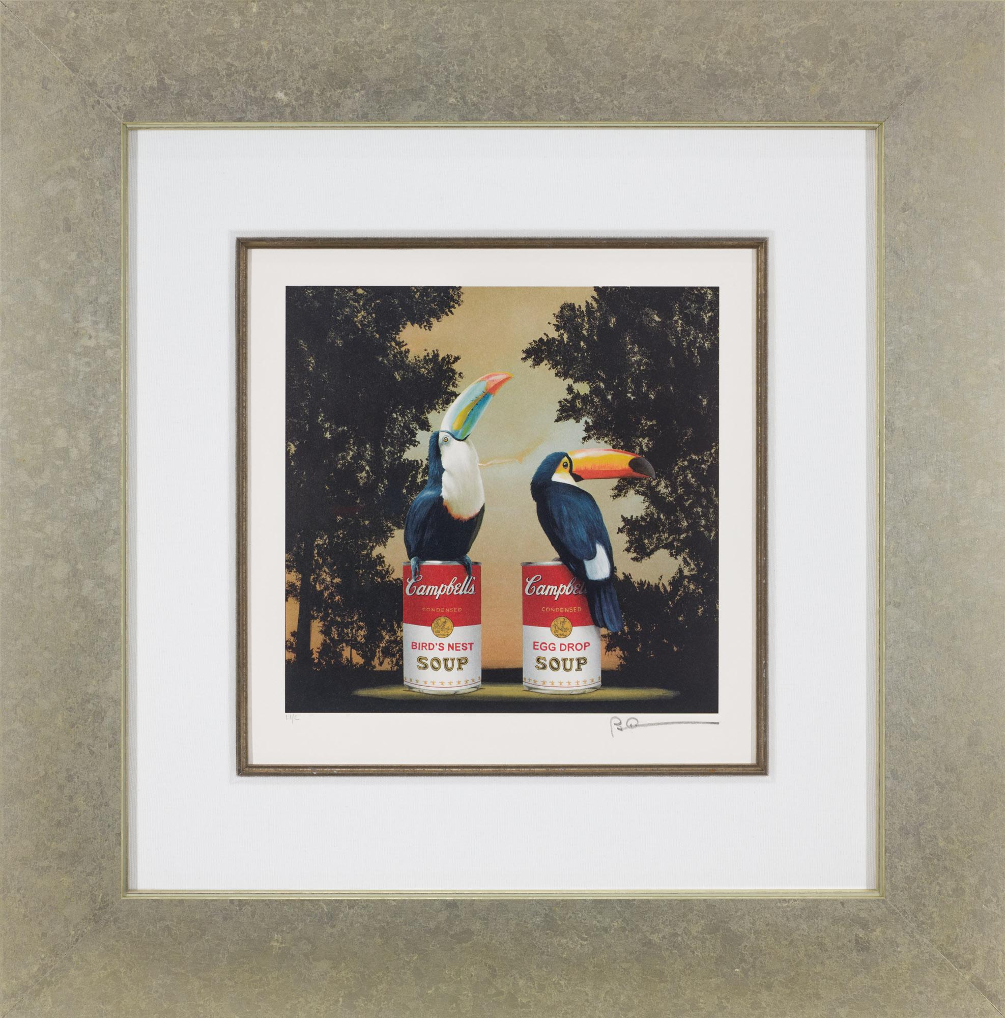Toucans For Sale 3
