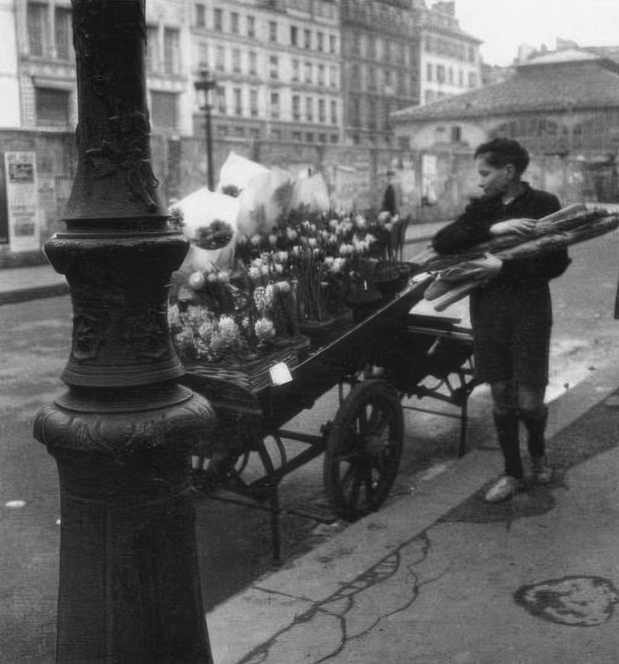 Voiture de Quatre-Saisons: Les Fleurs de la Place du Marche Saint-Honore [Le Gos