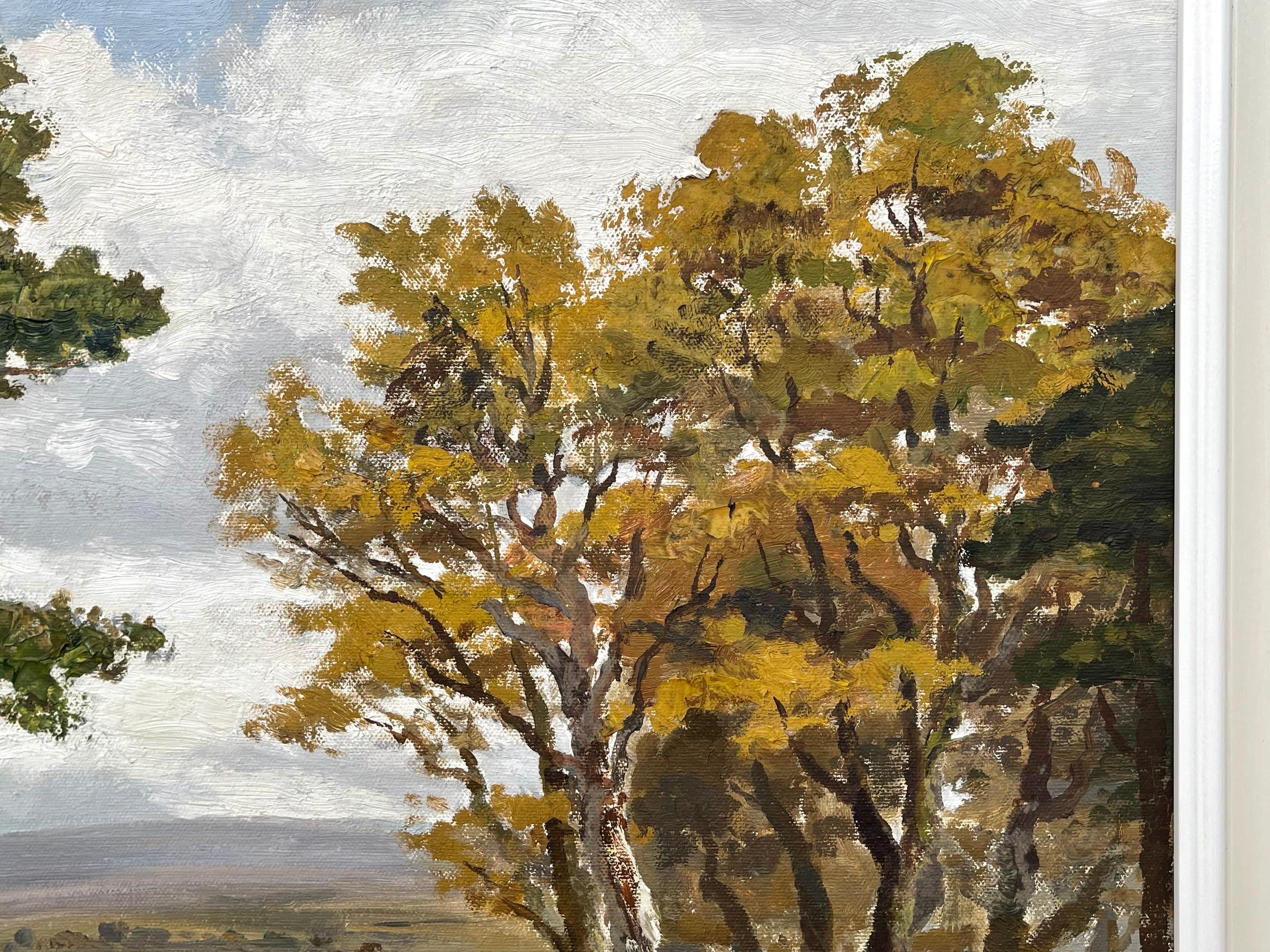 Paisaje fluvial de Glenfinnan en las Tierras Altas de Escocia por un artista del siglo XX en venta 5