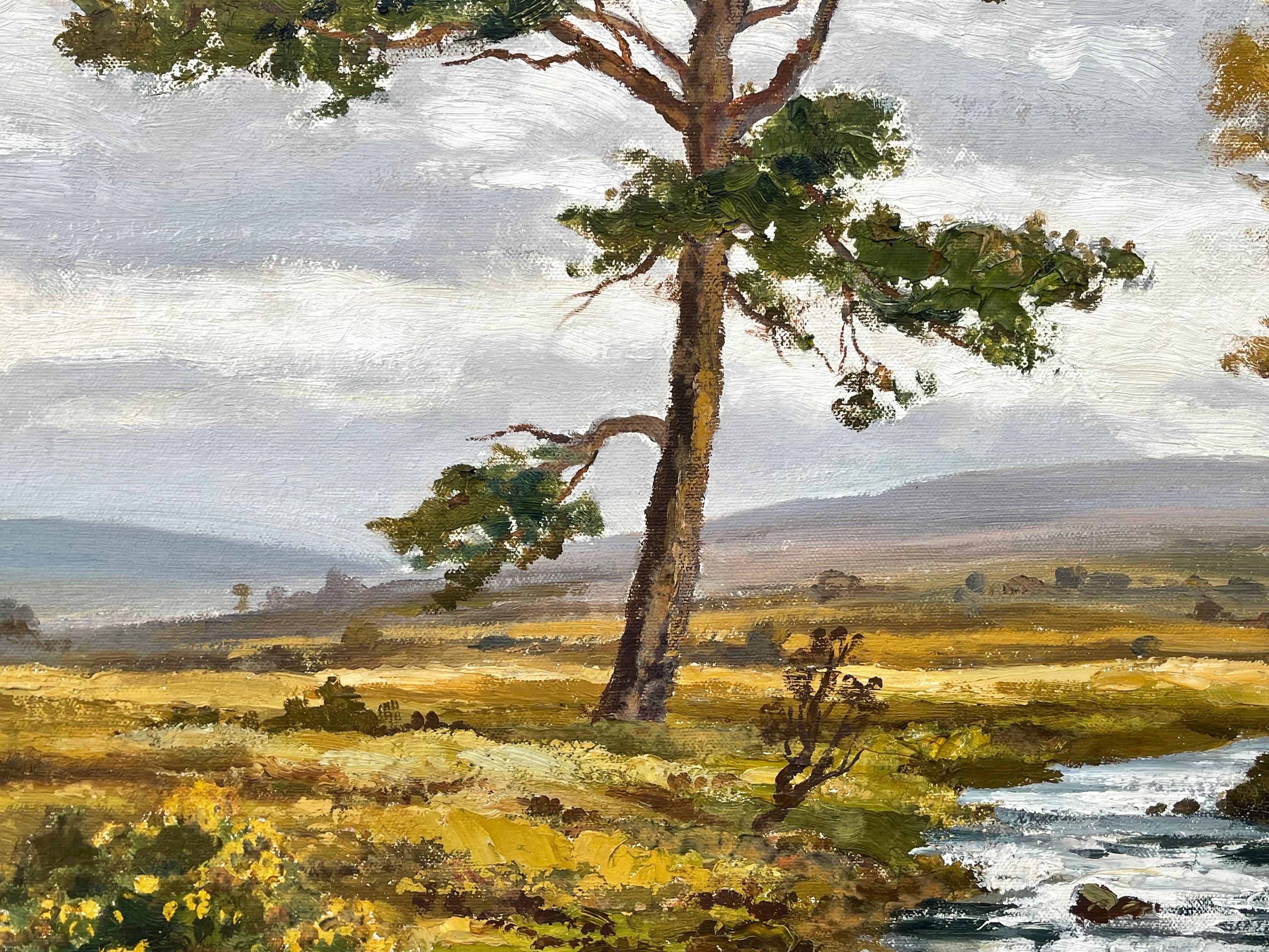 Paysage fluvial de Glenfinnan dans les Highlands écossais par l'artiste du 20e siècle en vente 6