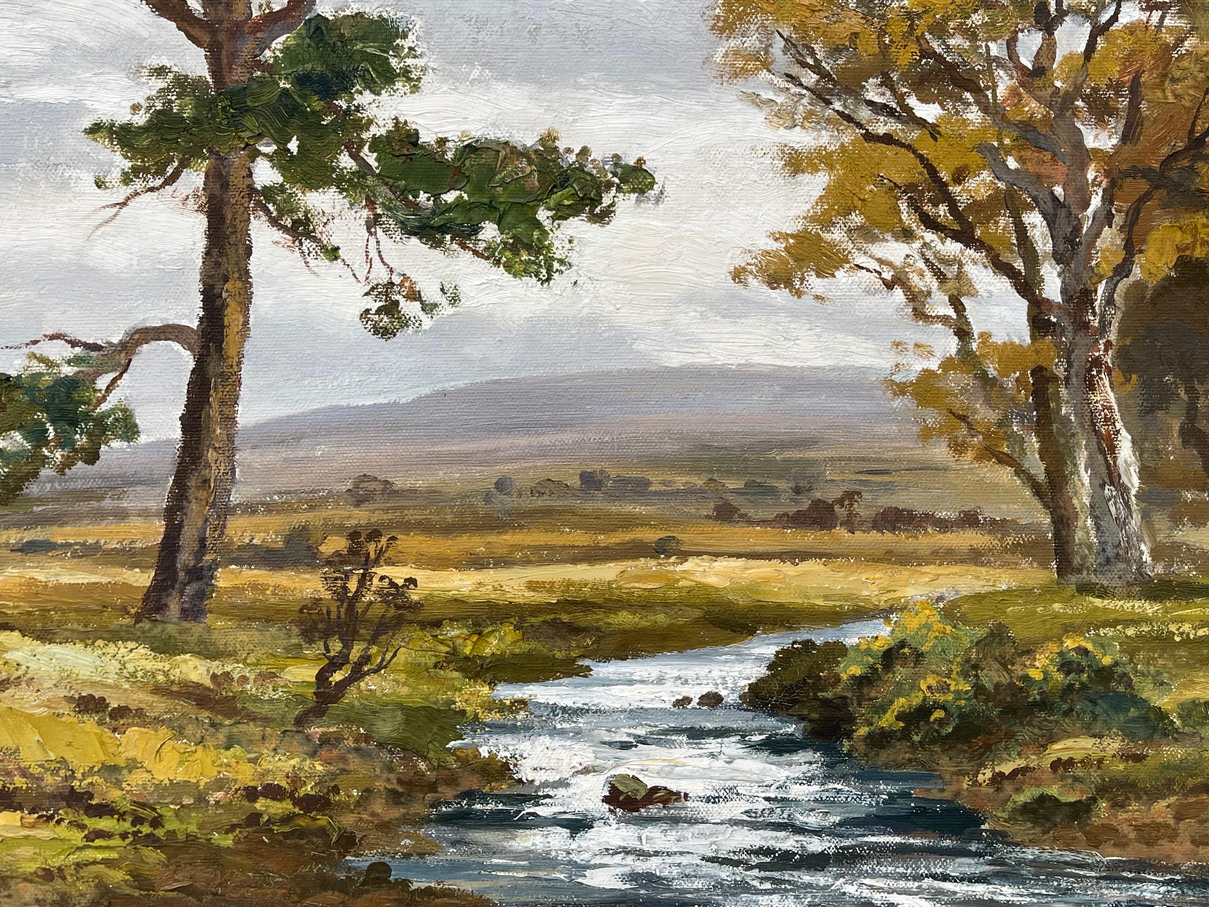 Paysage fluvial de Glenfinnan dans les Highlands écossais par l'artiste du 20e siècle en vente 8