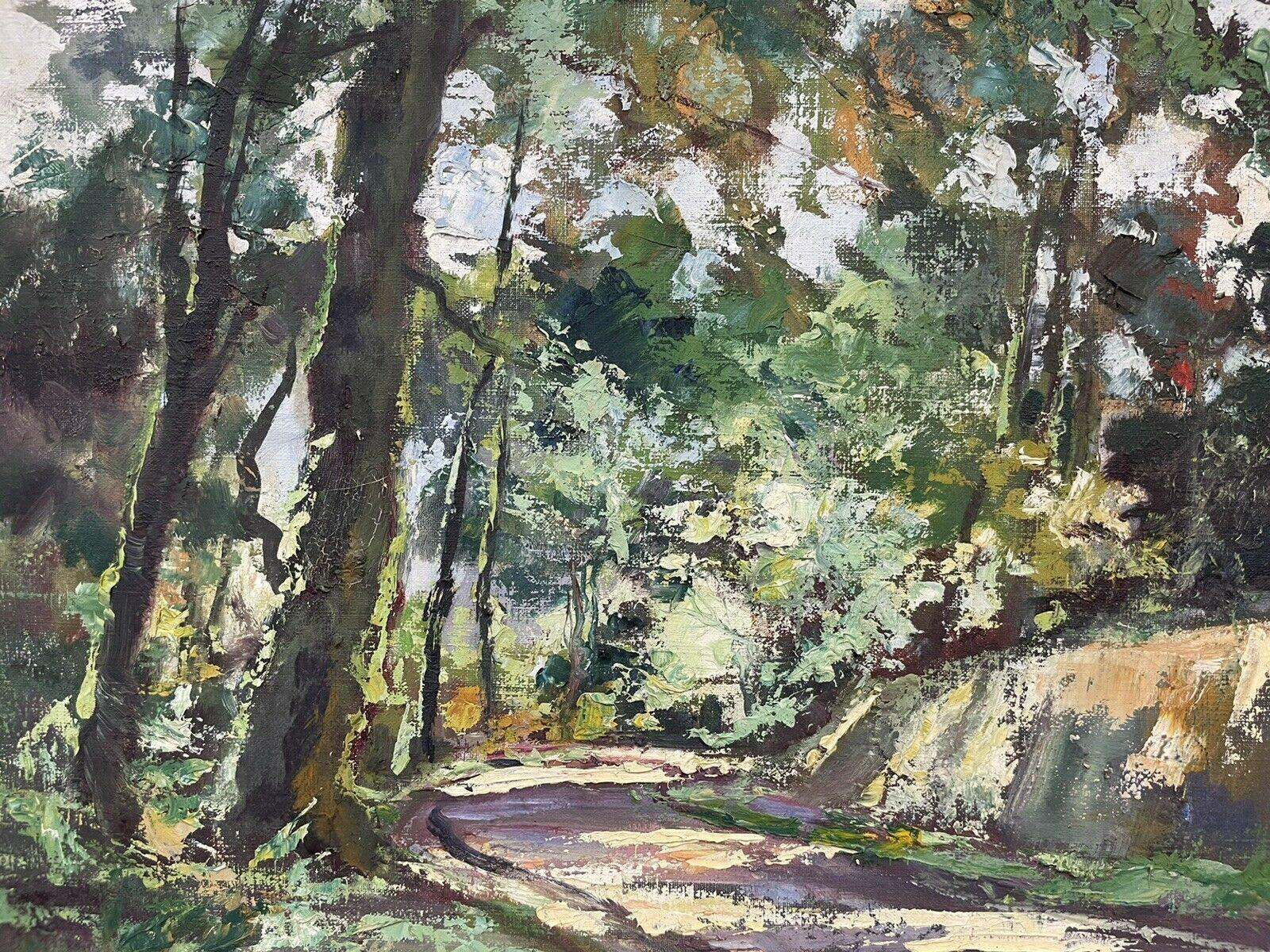 Large Mid 20th Century French Impressionist Signed Oil - Summer Woodland Light - Brown Landscape Painting by Robert Falcucci