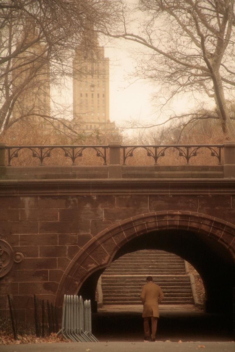 Robert Farber Color Photograph - Under the Bridge, Central Park