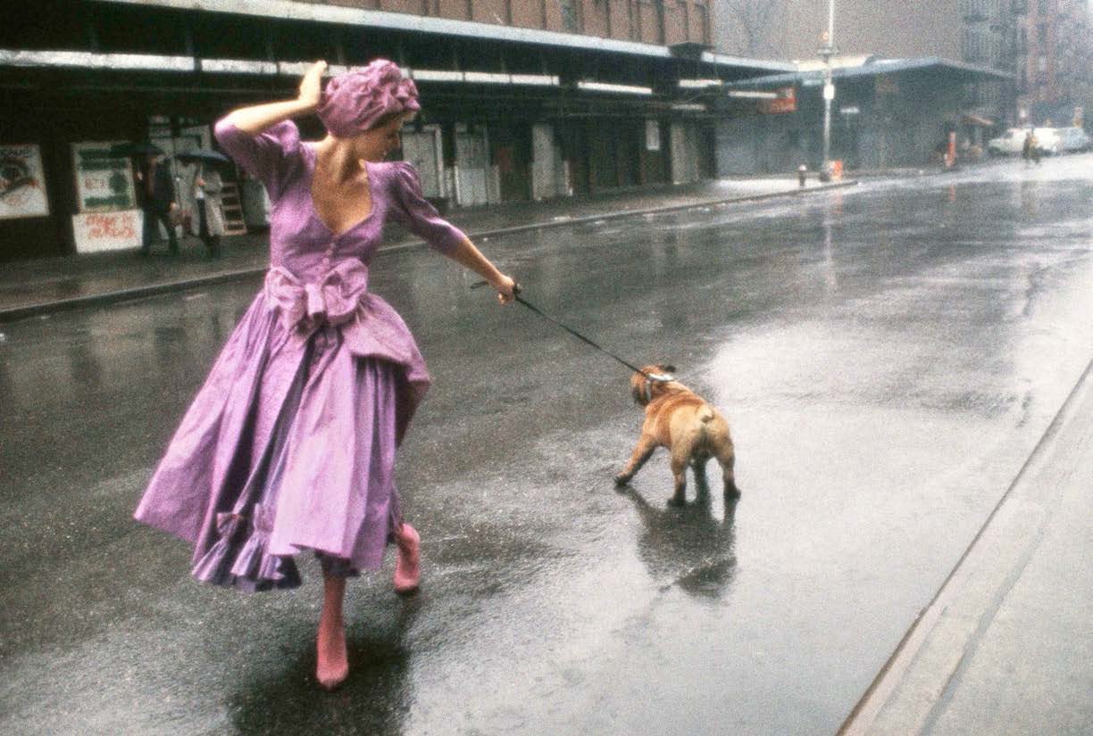 Camminare con il Bulldog, 1994
Stampa a pigmenti d'archivio
40 x 60 pollici
Edizione firmata e numerata di 10 esemplari

Robert Farber (nato nel 1944) è un famoso fotografo la cui carriera quinquennale abbraccia sia la fotografia commerciale che
