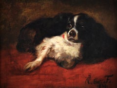 British oil painting on canvas " portrait of a King Charles spaniel " 19Th C