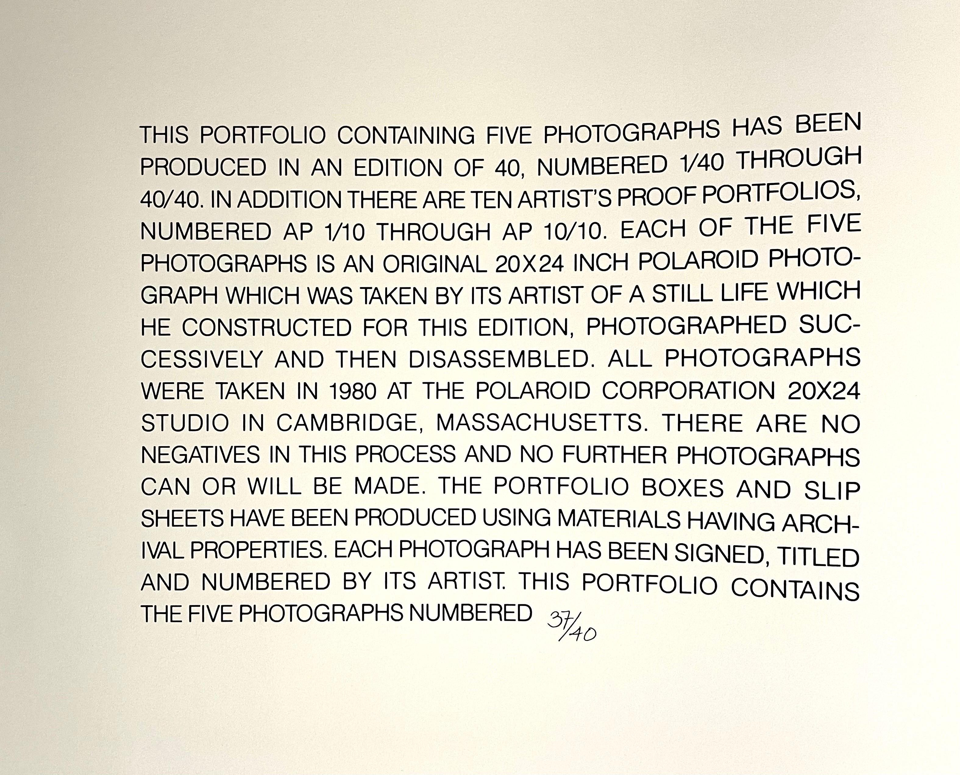 Großformatige Polaroidfotografie Stillleben Farbfotodruck Robert Fichter im Angebot 10