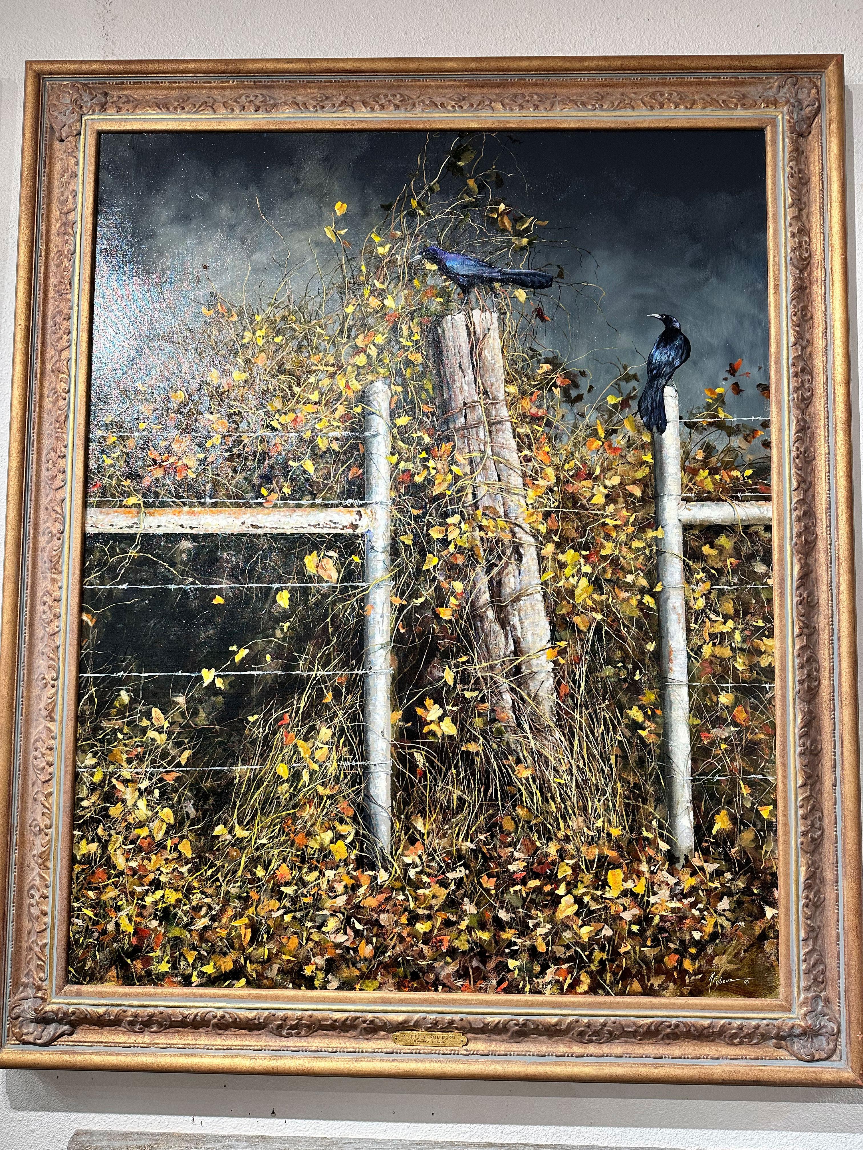 « Calling for Rain », Robert Fobear, huile sur toile originale, 60 x 48, oiseaux animaliers en vente 1