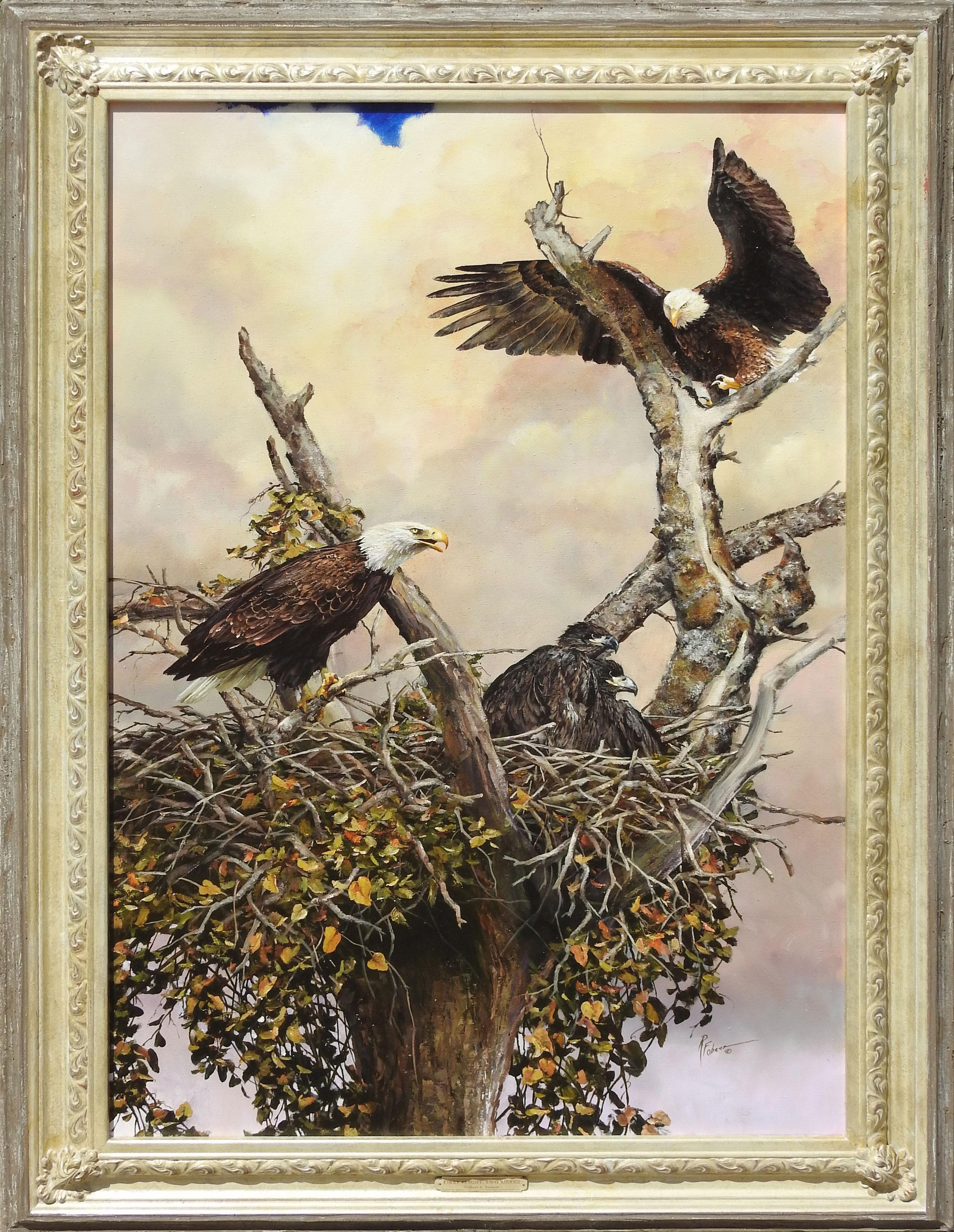 "First Flight, Two Weeks" is an original oil on linen painting by Texas Artist Robert Fobear and measures 40x60 inches. This extraordinary piece captures a mesmerizing autumn scene, where two majestic eagles perch high up in a tree, keeping a