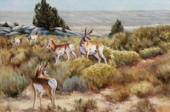 "Wyoming", Robert Fobear, Olio originale su tela, 40x60, antilope Pronghorn