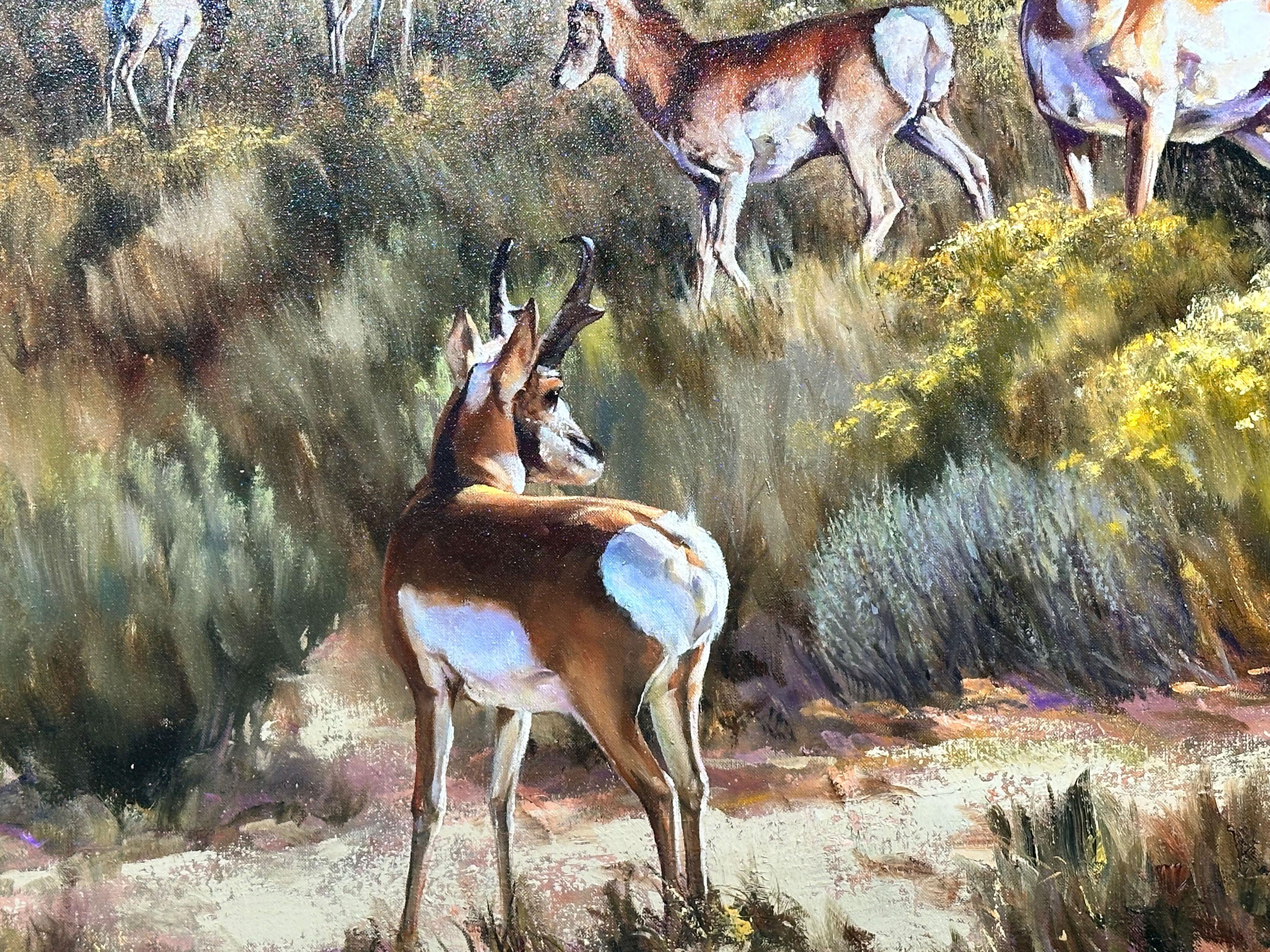 „Wyoming“, Robert Fobear, Original Öl auf Leinwand, 40x60, Pronghorn Antelope, Pronghorn im Angebot 2
