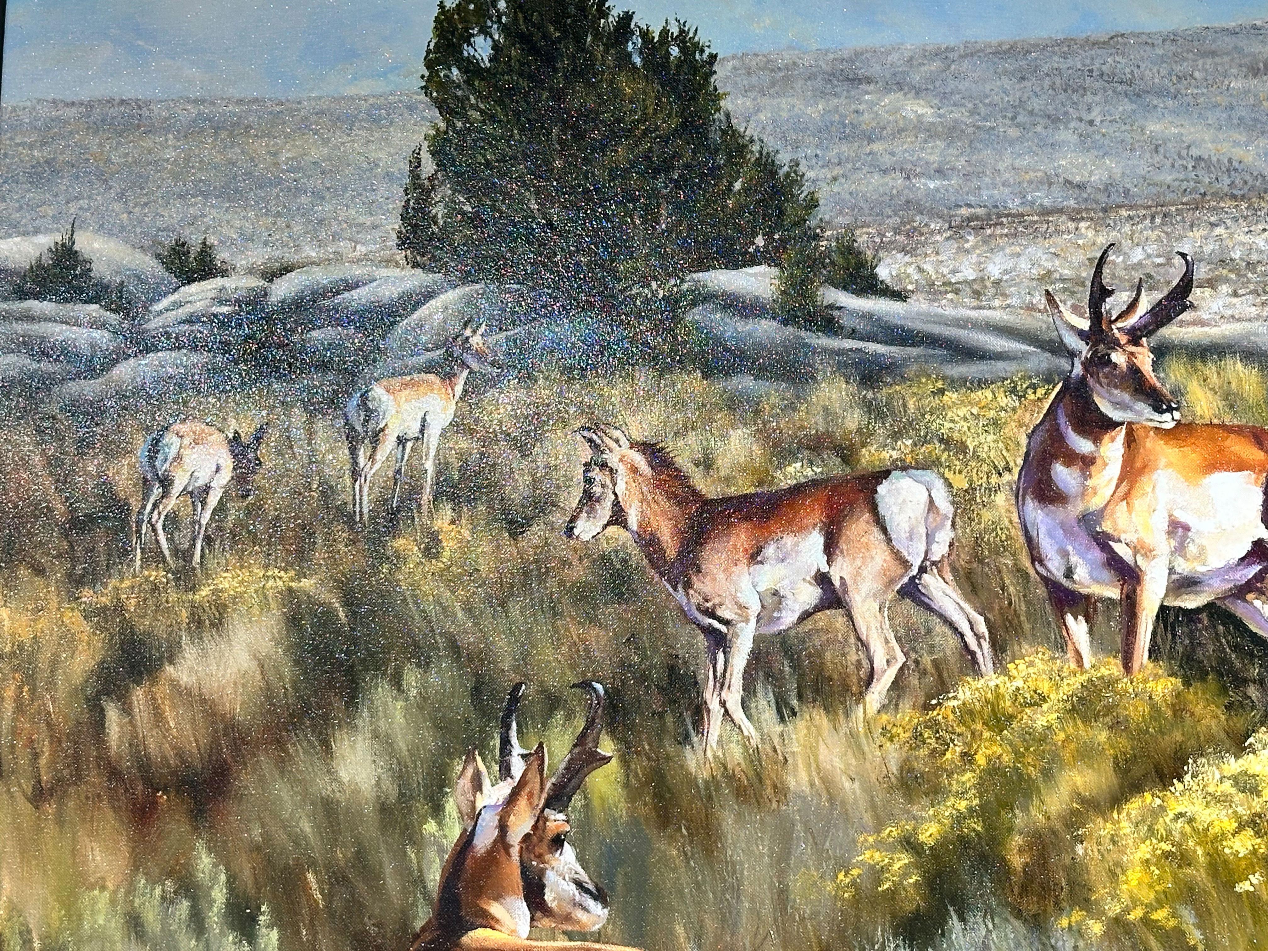 „Wyoming“, Robert Fobear, Original Öl auf Leinwand, 40x60, Pronghorn Antelope, Pronghorn im Angebot 3