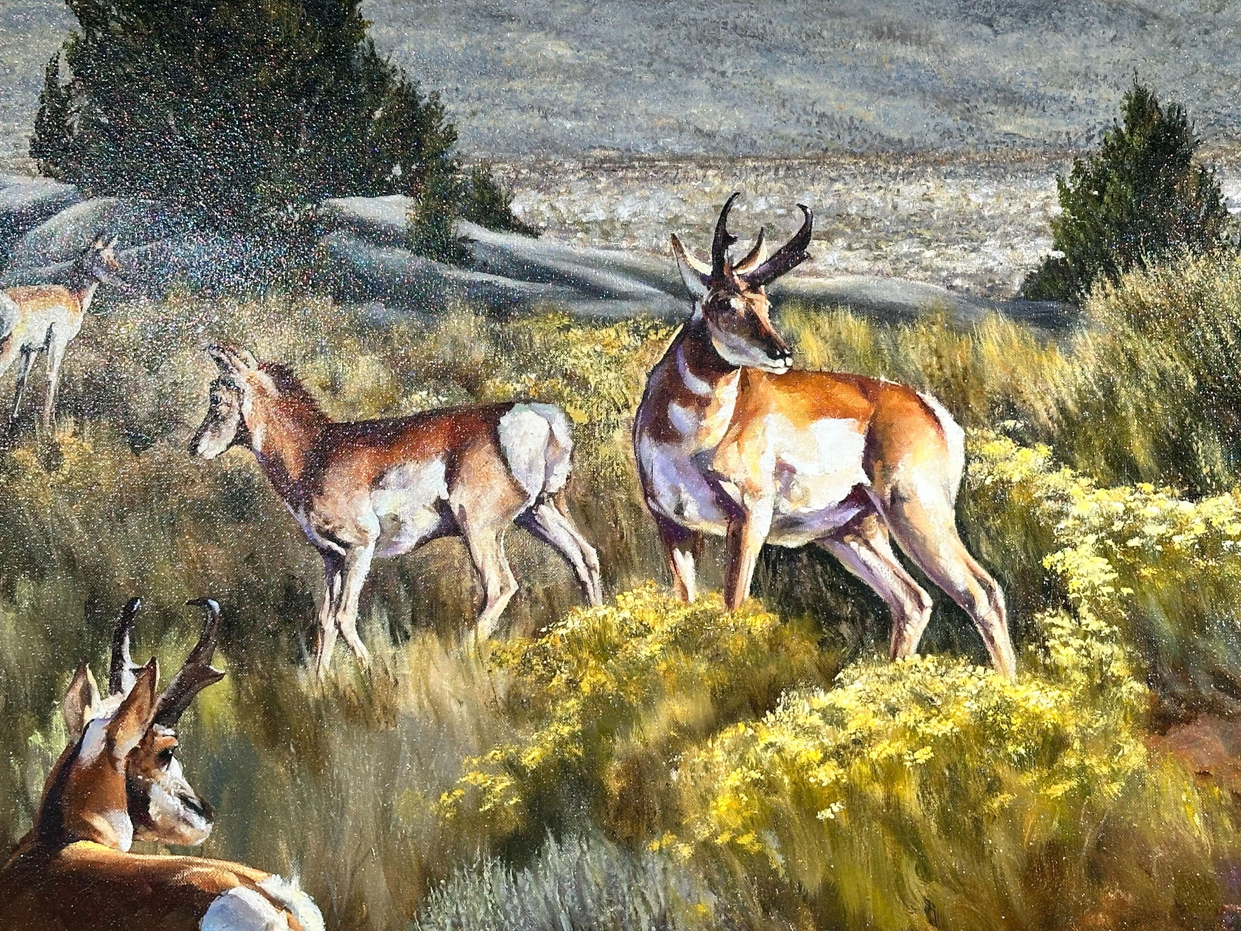 „Wyoming“, Robert Fobear, Original Öl auf Leinwand, 40x60, Pronghorn Antelope, Pronghorn im Angebot 4