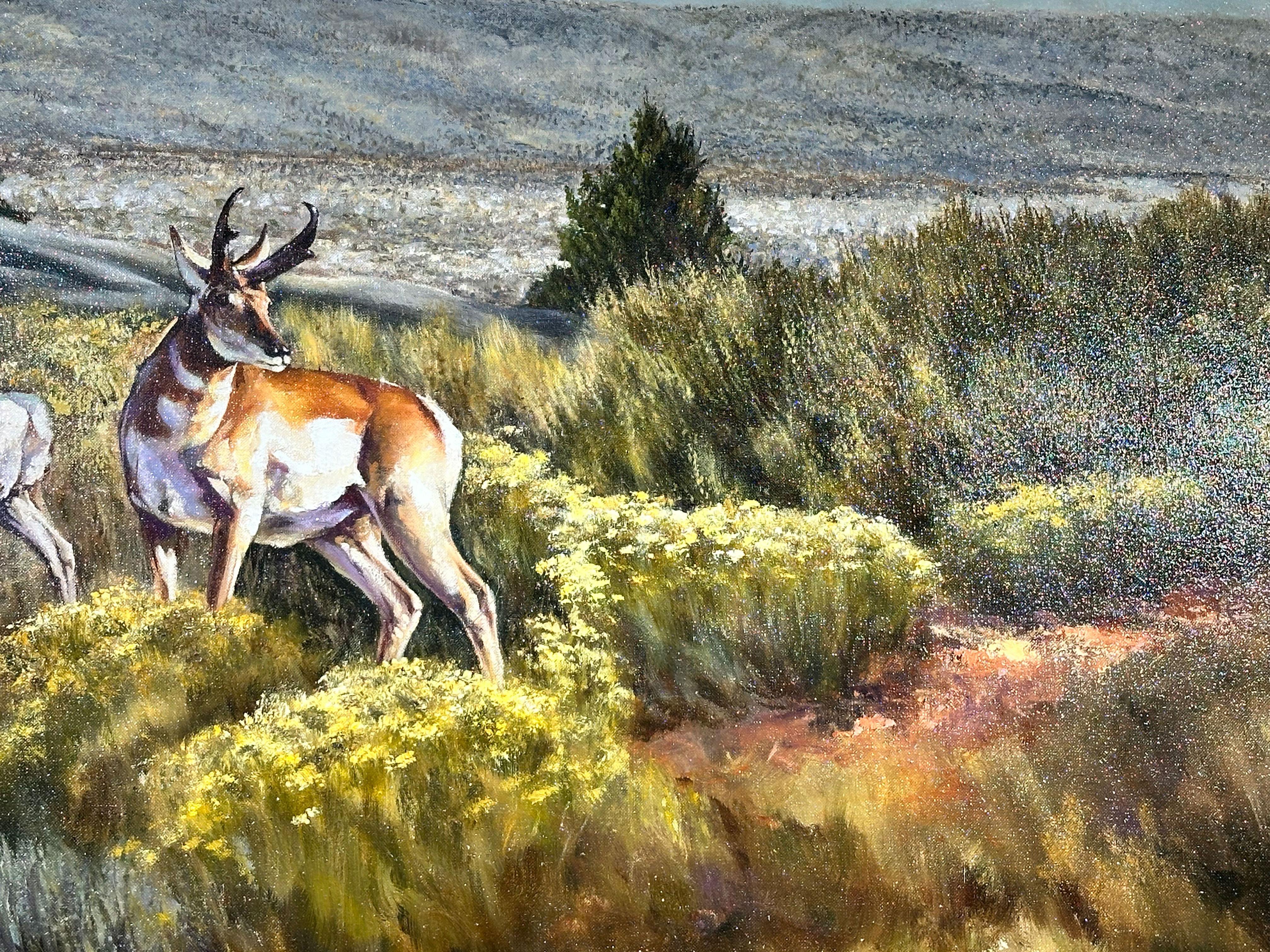 „Wyoming“, Robert Fobear, Original Öl auf Leinwand, 40x60, Pronghorn Antelope, Pronghorn im Angebot 7