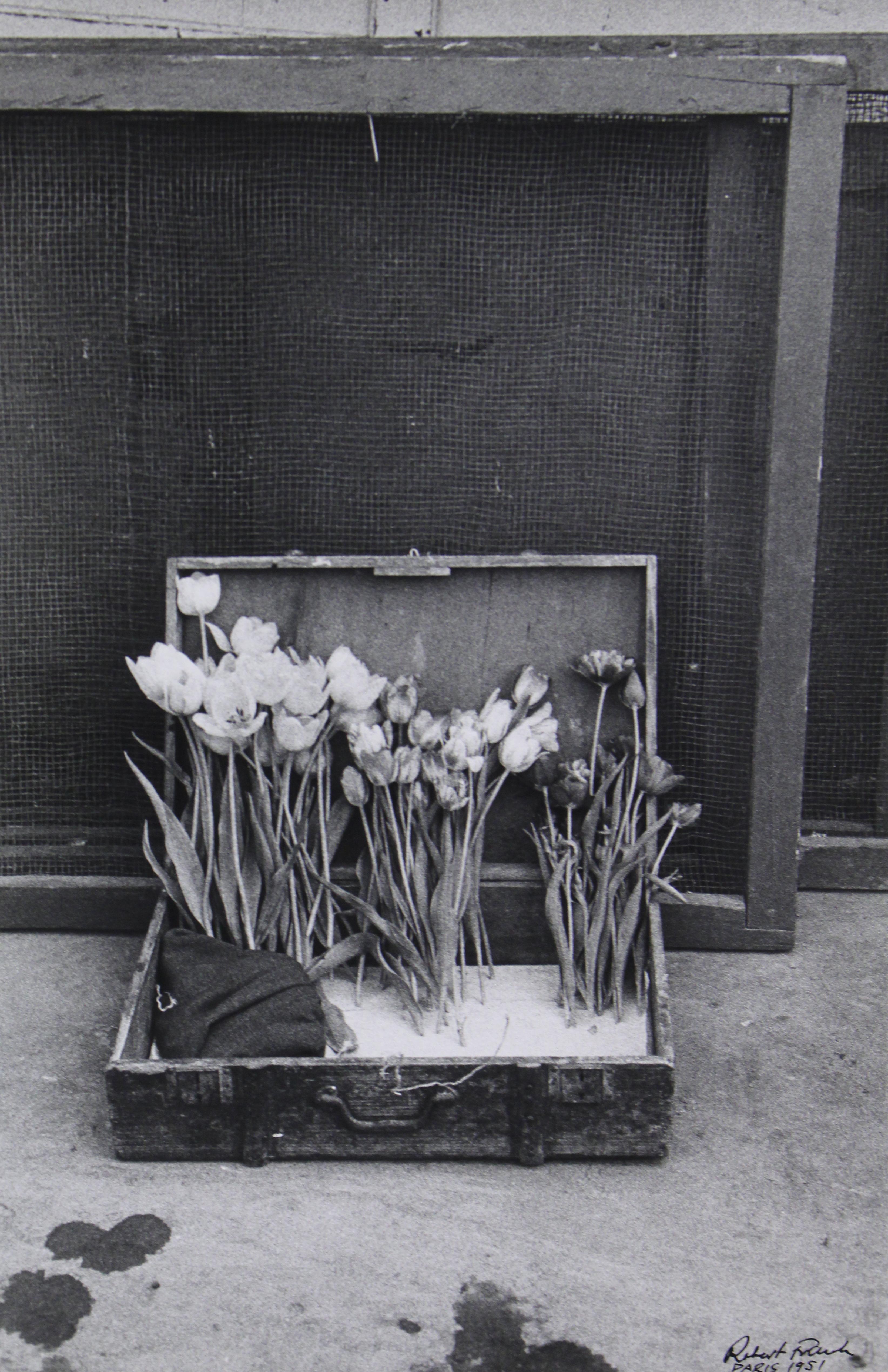 robert frank photography