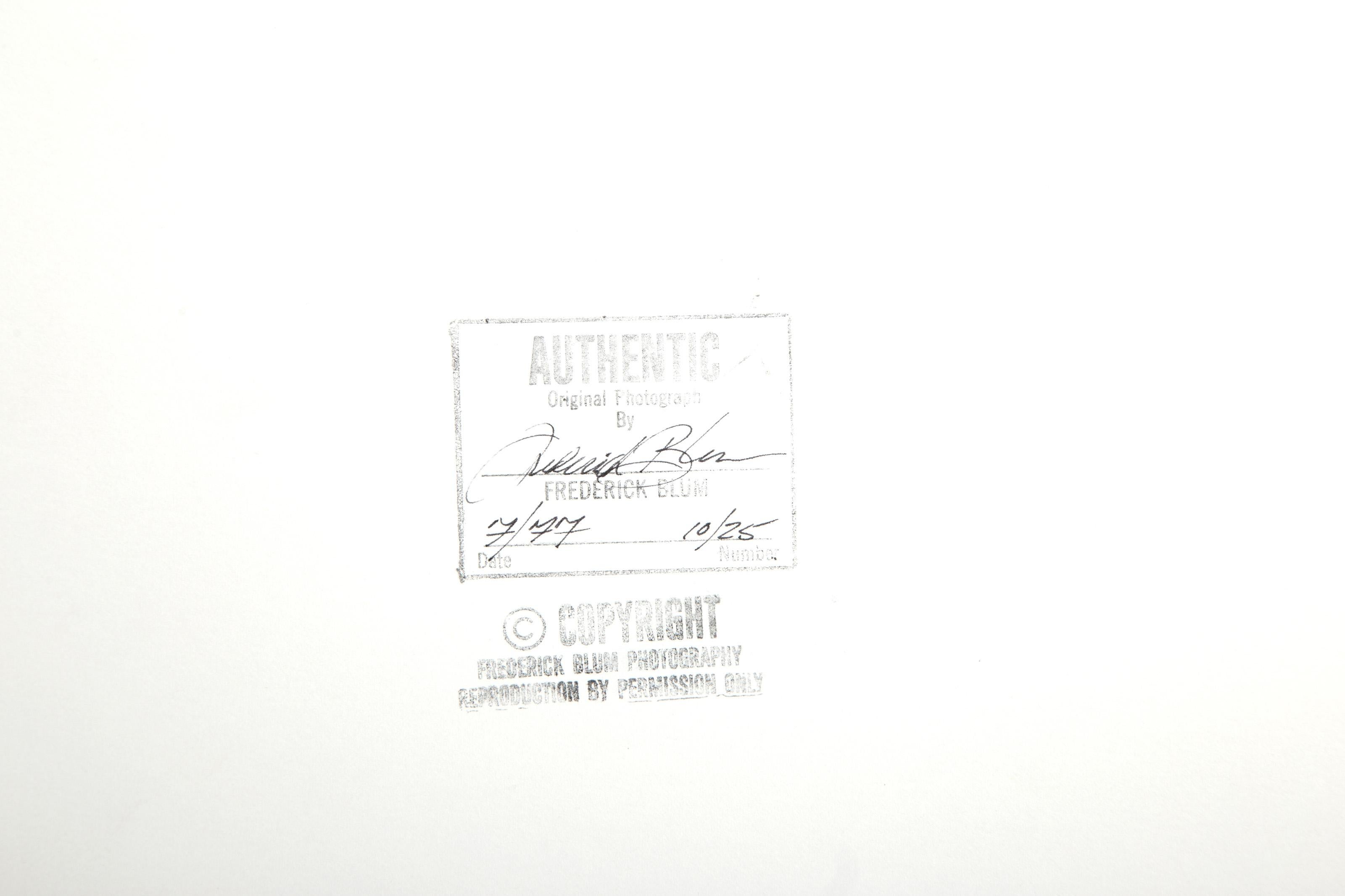 Studio-Stillleben, amerikanisches modernes Fotopapier der Moderne von Frederick Blum im Angebot 1