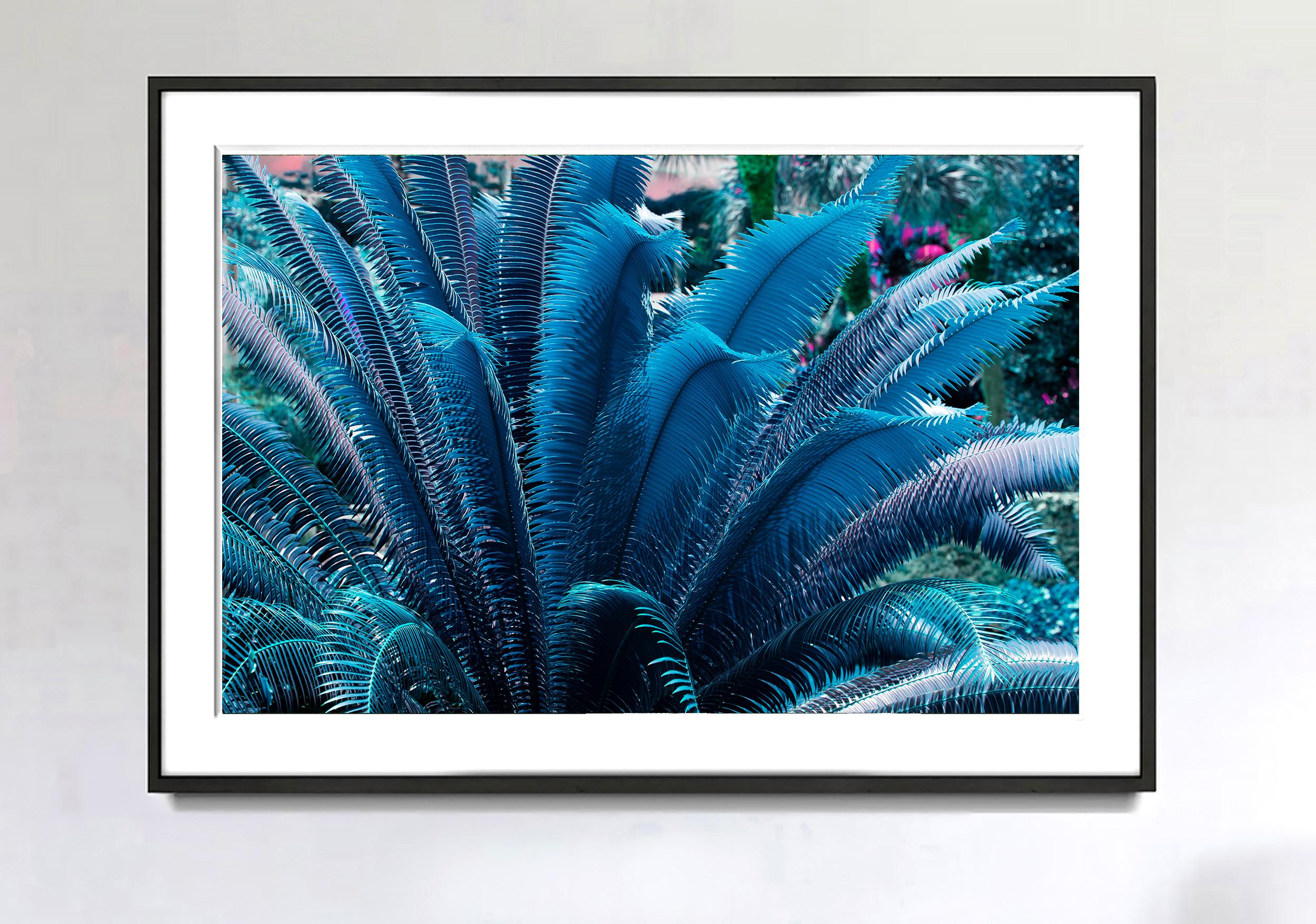 Blue Ferns and a Hint of Magenta. Sculpture Garden - Photograph by Robert Funk