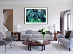 Dreamy Blue Heart of Jesus Plants with natural Heart Shape cutout