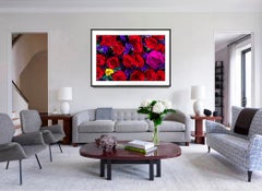 Groupe de roses rouges. Roses roses. Belles Fleurs