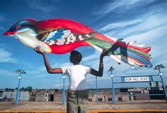 Fly to the Sky.  Boy Holding Big Bird in the Bronx