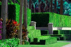 Hedge Fun - Billionaires Row - Palm Beach - Wie die Reichen Street Art machen